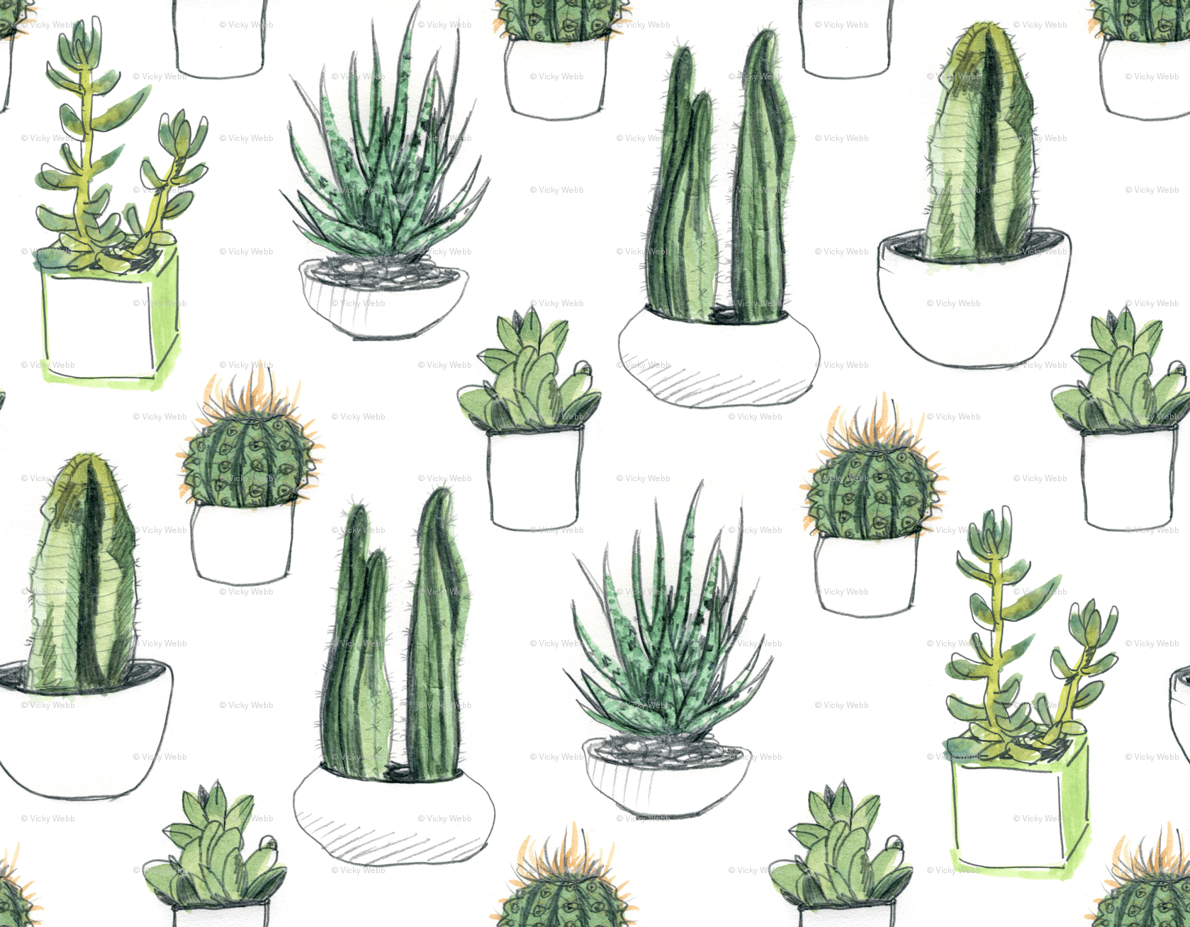 Cactus e succulente illustrati, 1679x1308 HD Ready, PC