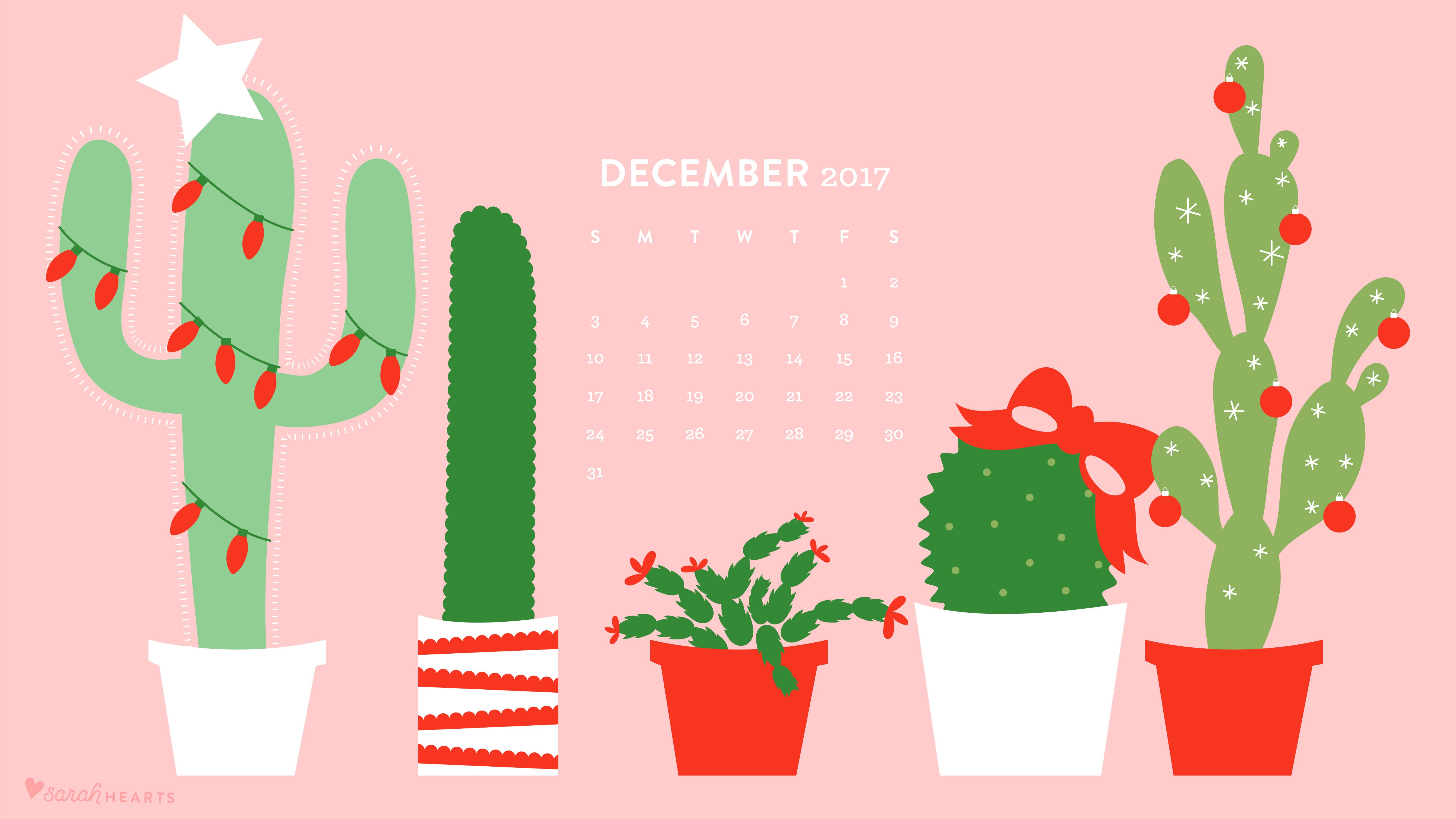 Cactus natalizi calendario dicembre rosa, 5334x3001 4K, PC Desktop
