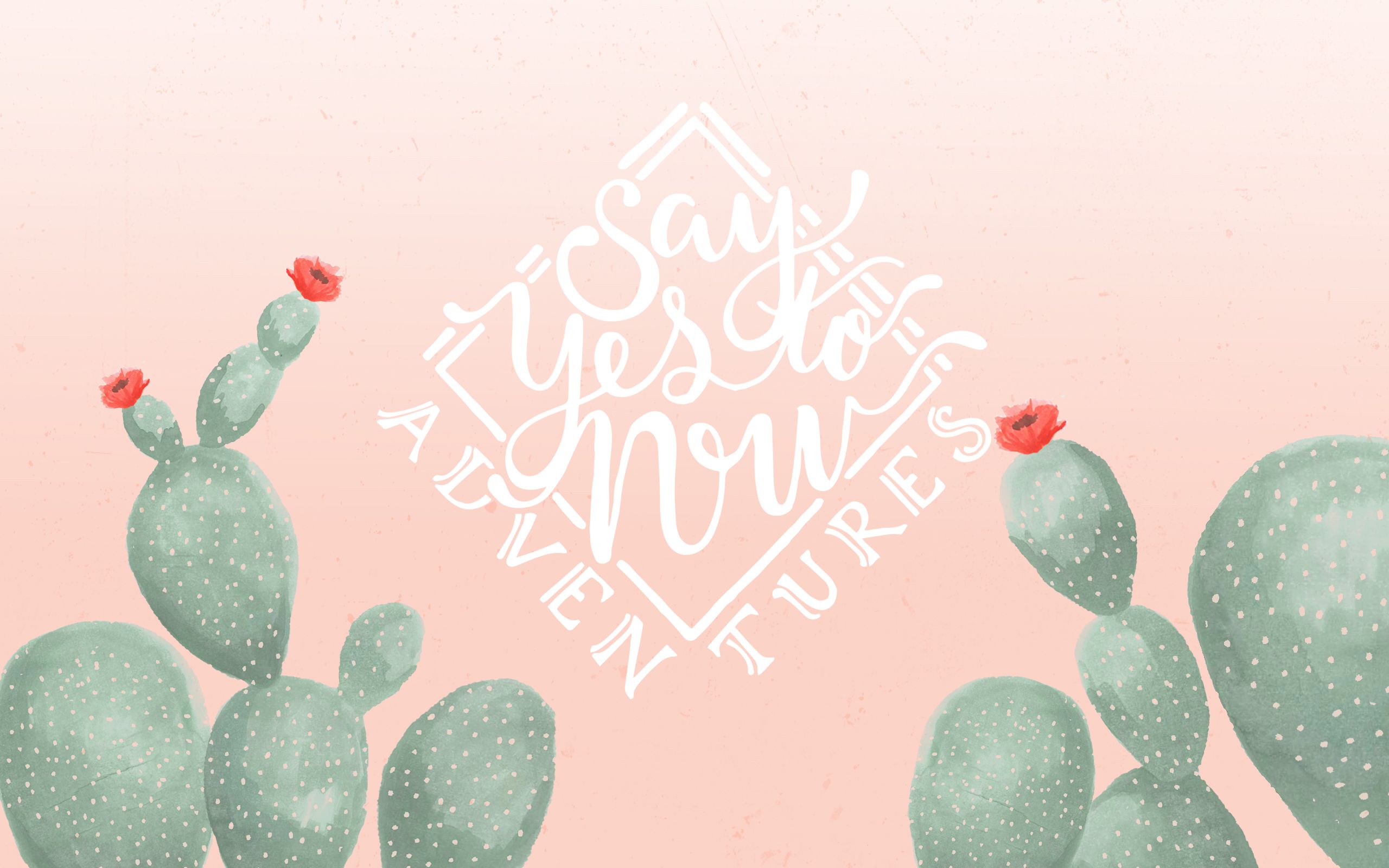 Cactus illustrati con scritta rosa, 2560x1600 WQXGA, Desktop
