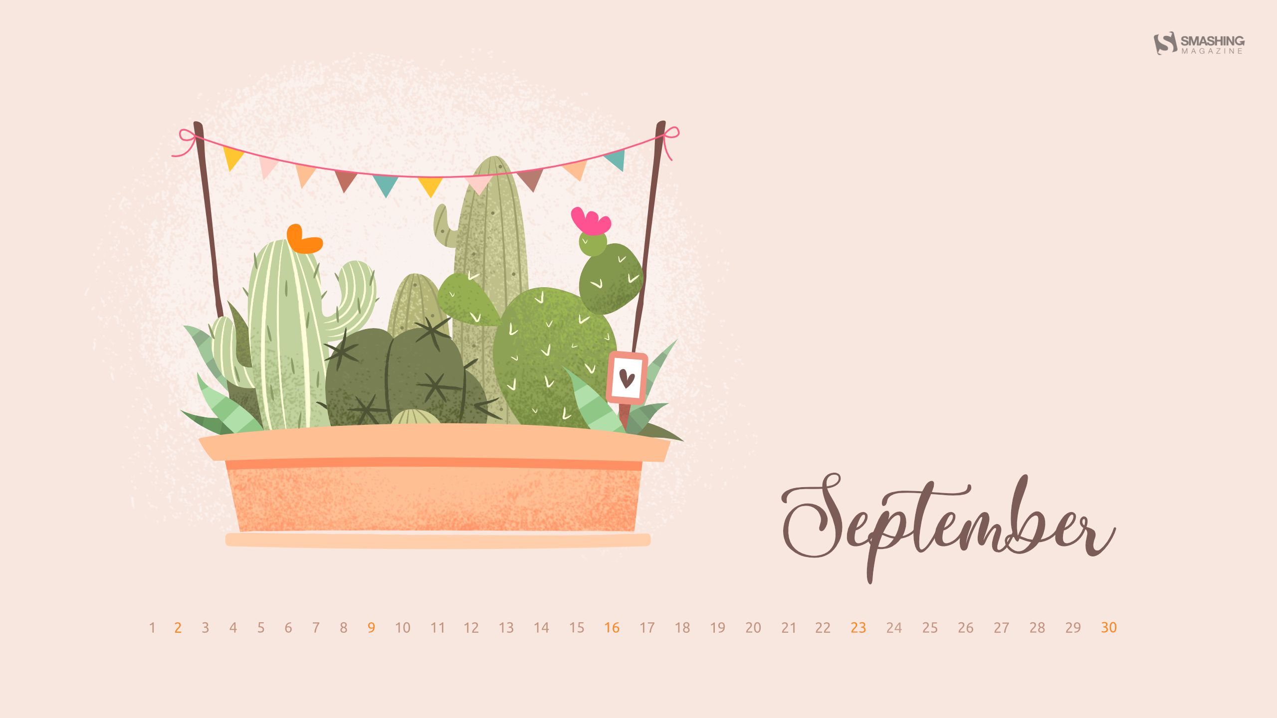 Cactus illustrati vaso rosa, 2560x1440 2K QHD, Monitor Gaming