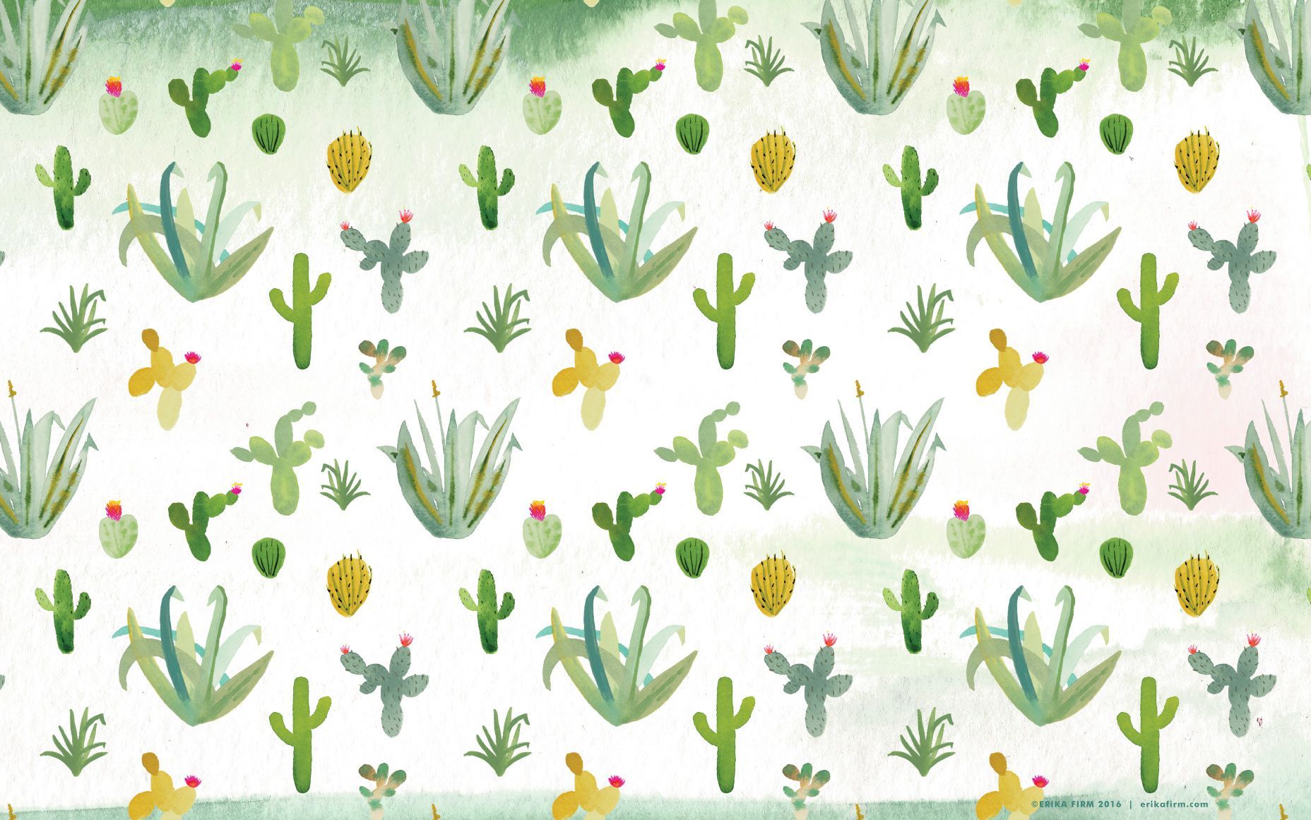 Cactus e piante grasse ad acquerello, 1856x1161 HD Ready, Monitor Gaming