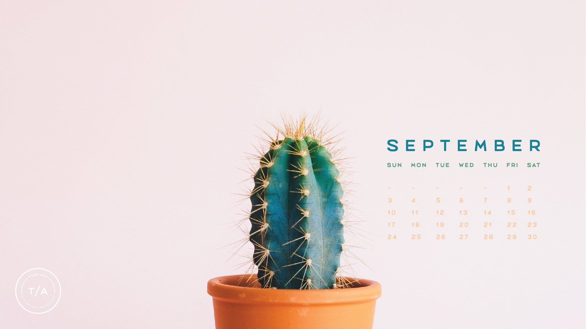 Cactus in vaso, calendario settembre, 1920x1080 1080p, PC