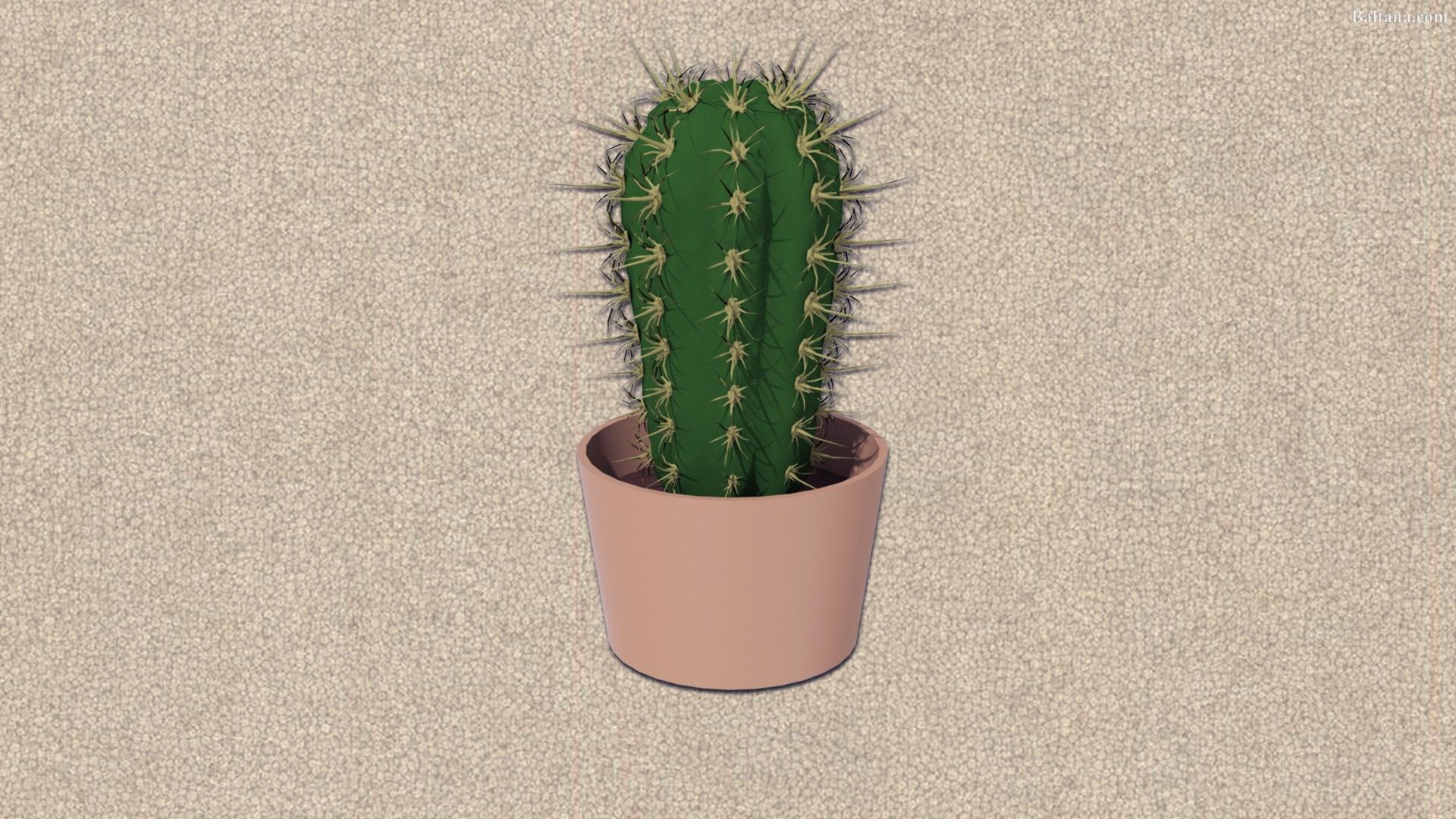 Cactus in vaso rosa, 1920x1080 1080p, PC Desktop