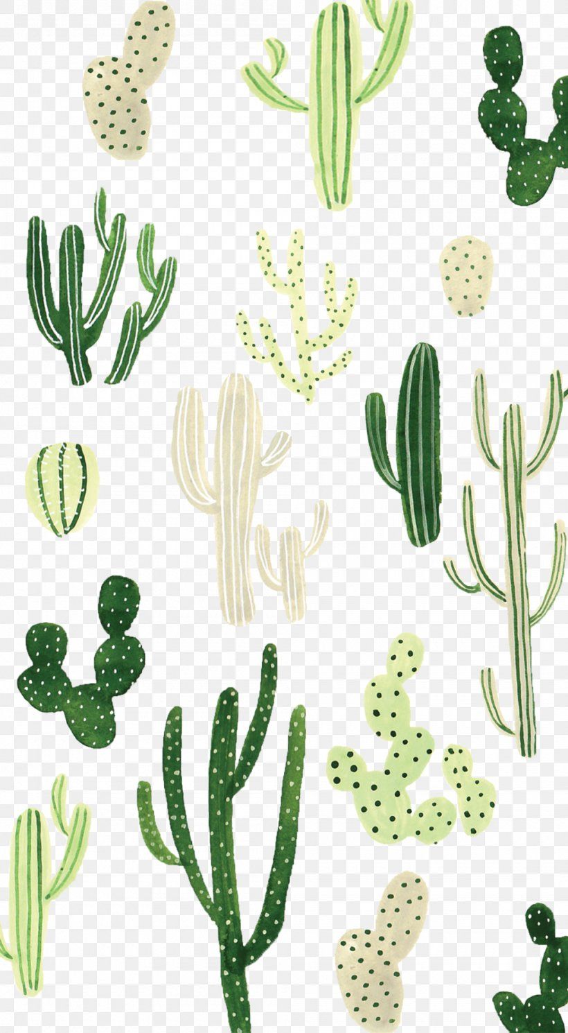 Cactus verdi illustrati sfondo trasparente, 820x1490 Verticale, Telefono