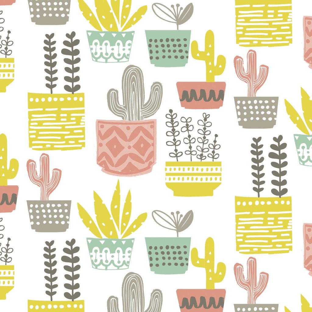 Cactus e piante in vasi illustrati, 1024x1024 HD, Monitor Gaming
