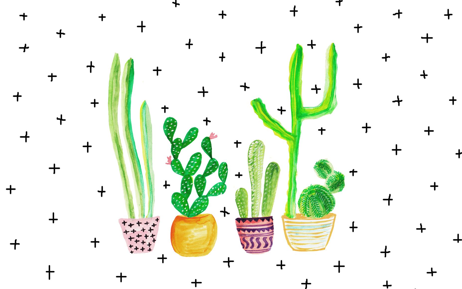 Cactus illustrati in vasi colorati, 1856x1161 HD Ready, PC