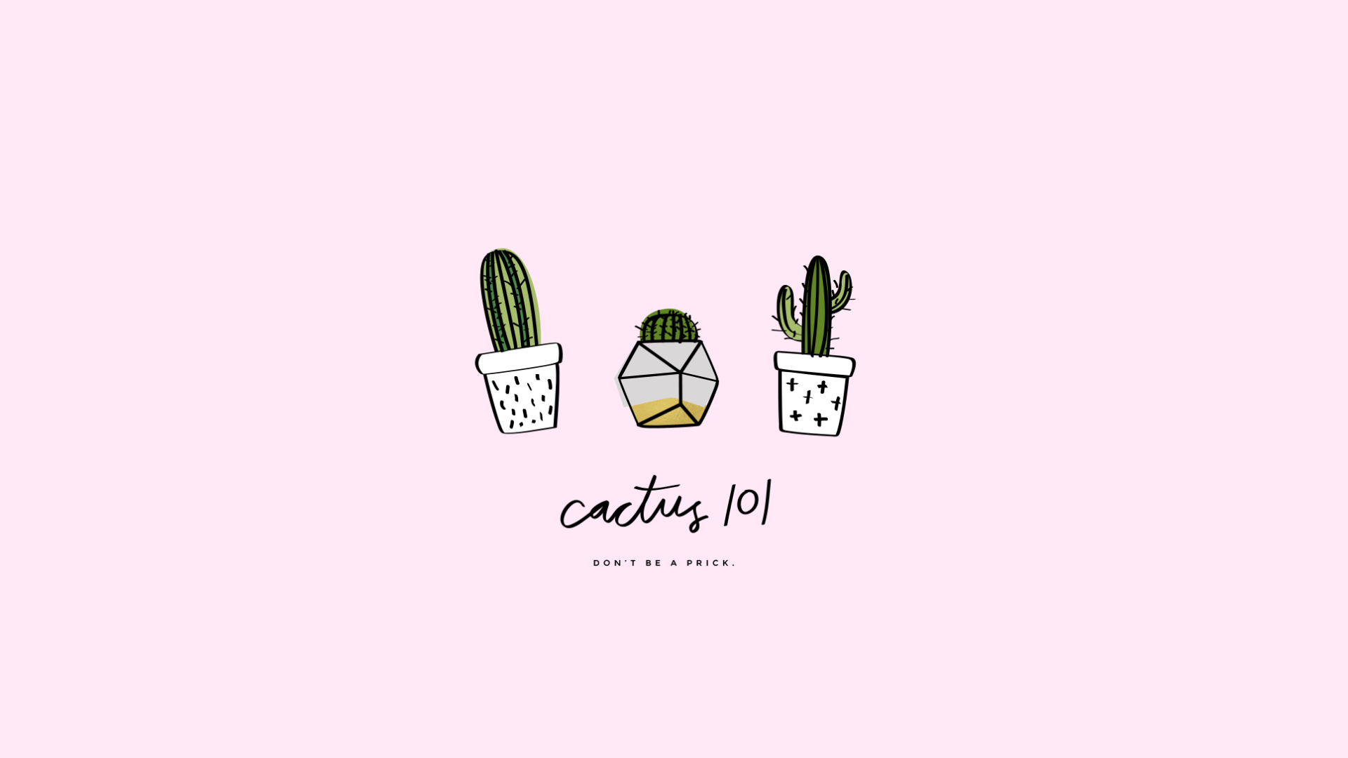 Illustrazione cactus rosa pastello, 1920x1080 Full HD 1080p, PC Desktop