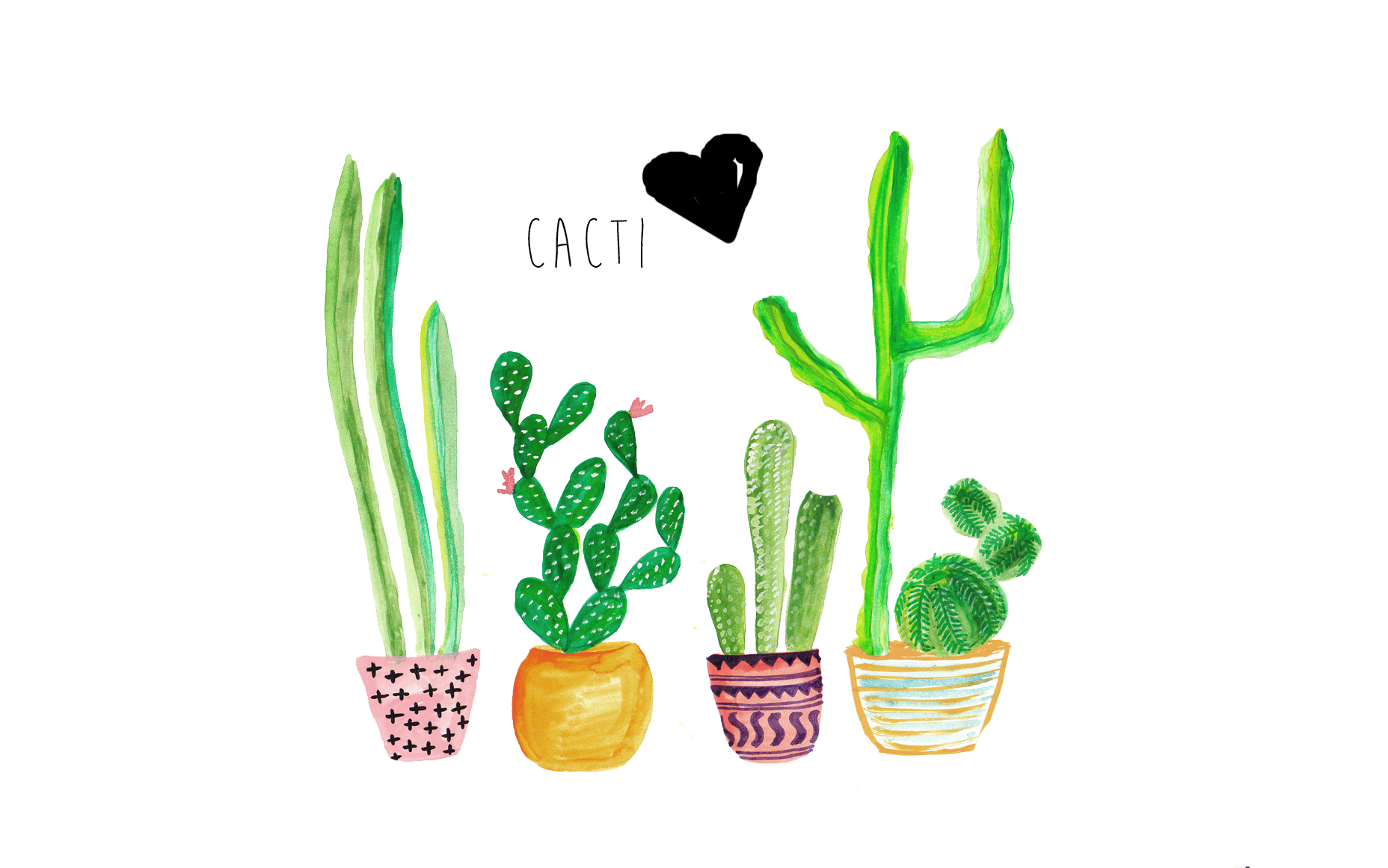 Illustrazione cactus in vasi colorati, 1856x1161 HD, Desktop