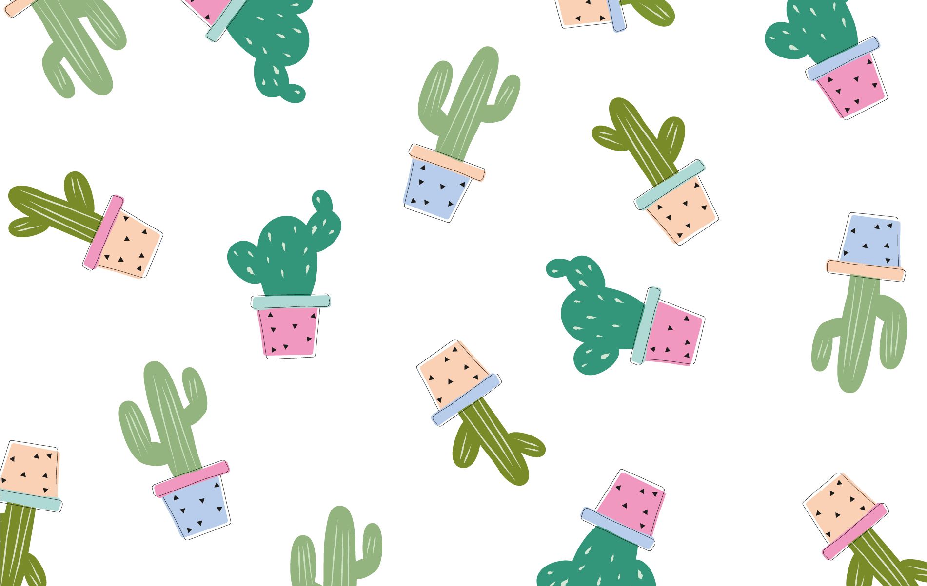 Cactus in vasi colorati, 1901x1203 HD, PC Desktop