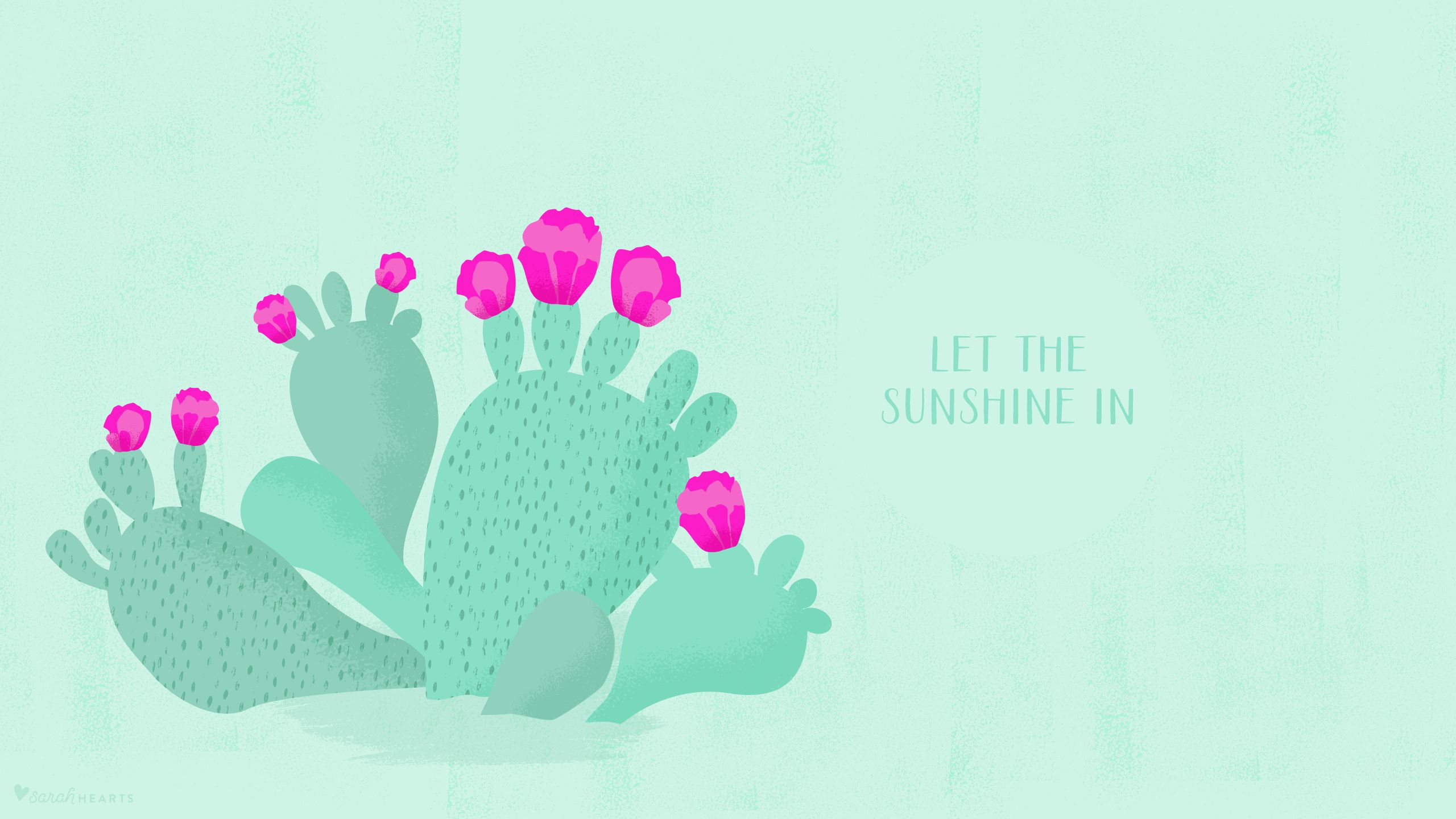 Cactus illustrato con fiori rosa, 2560x1440 QHD, PC