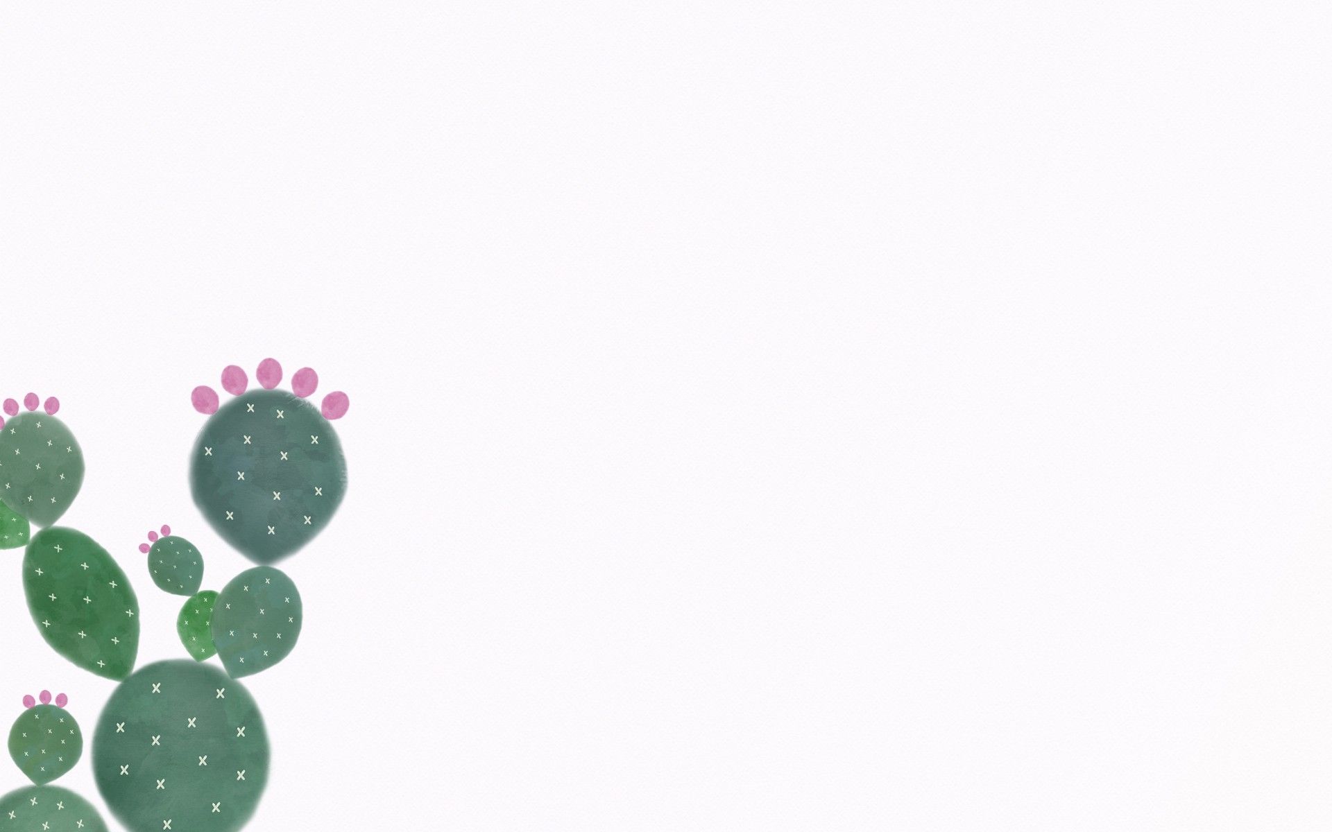 Cactus illustrato con fiori rosa, 1920x1200 Full HD+, PC