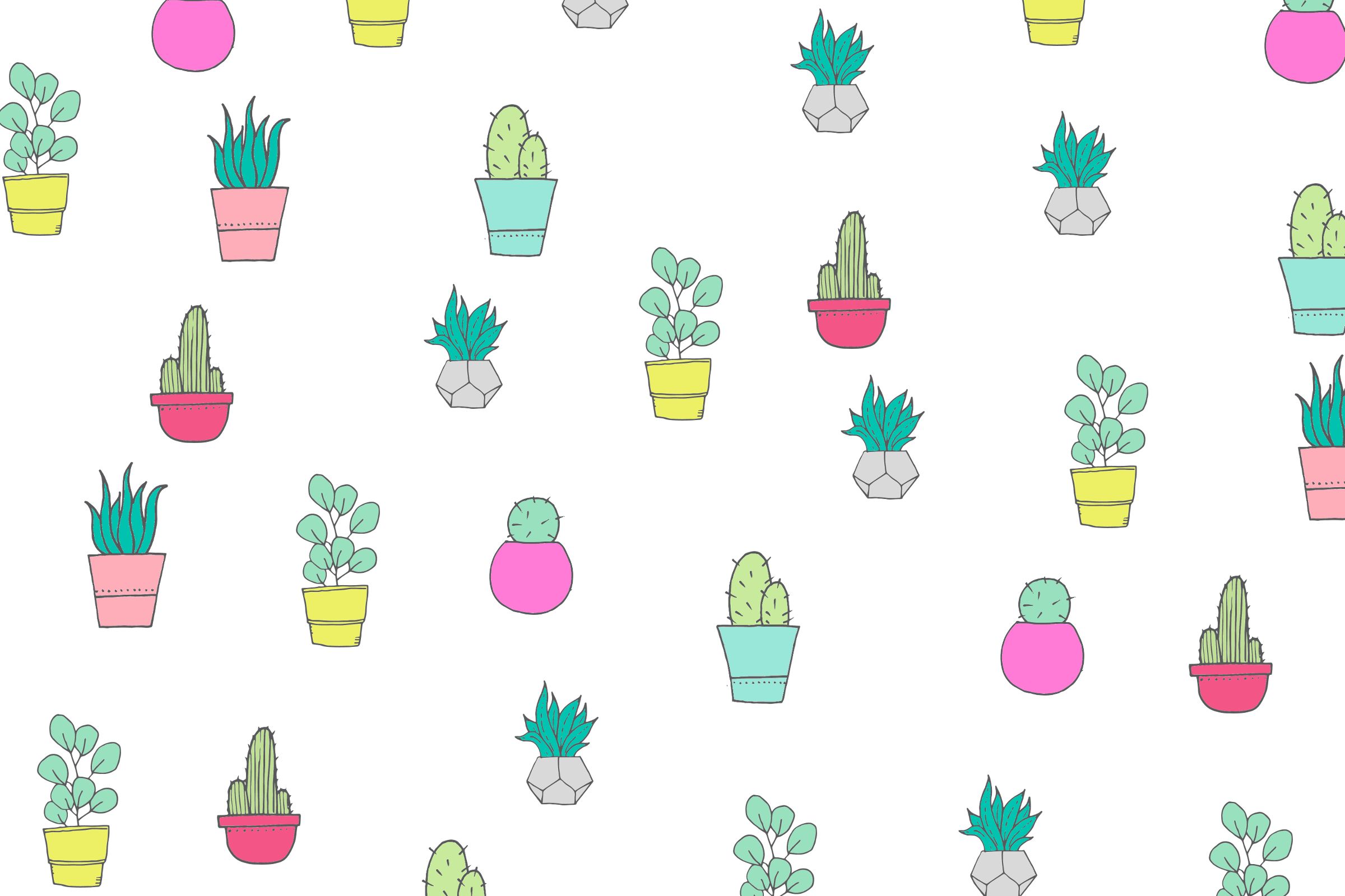 Pattern cactus e piante grasse, 2400x1600 Hi-Res, PC