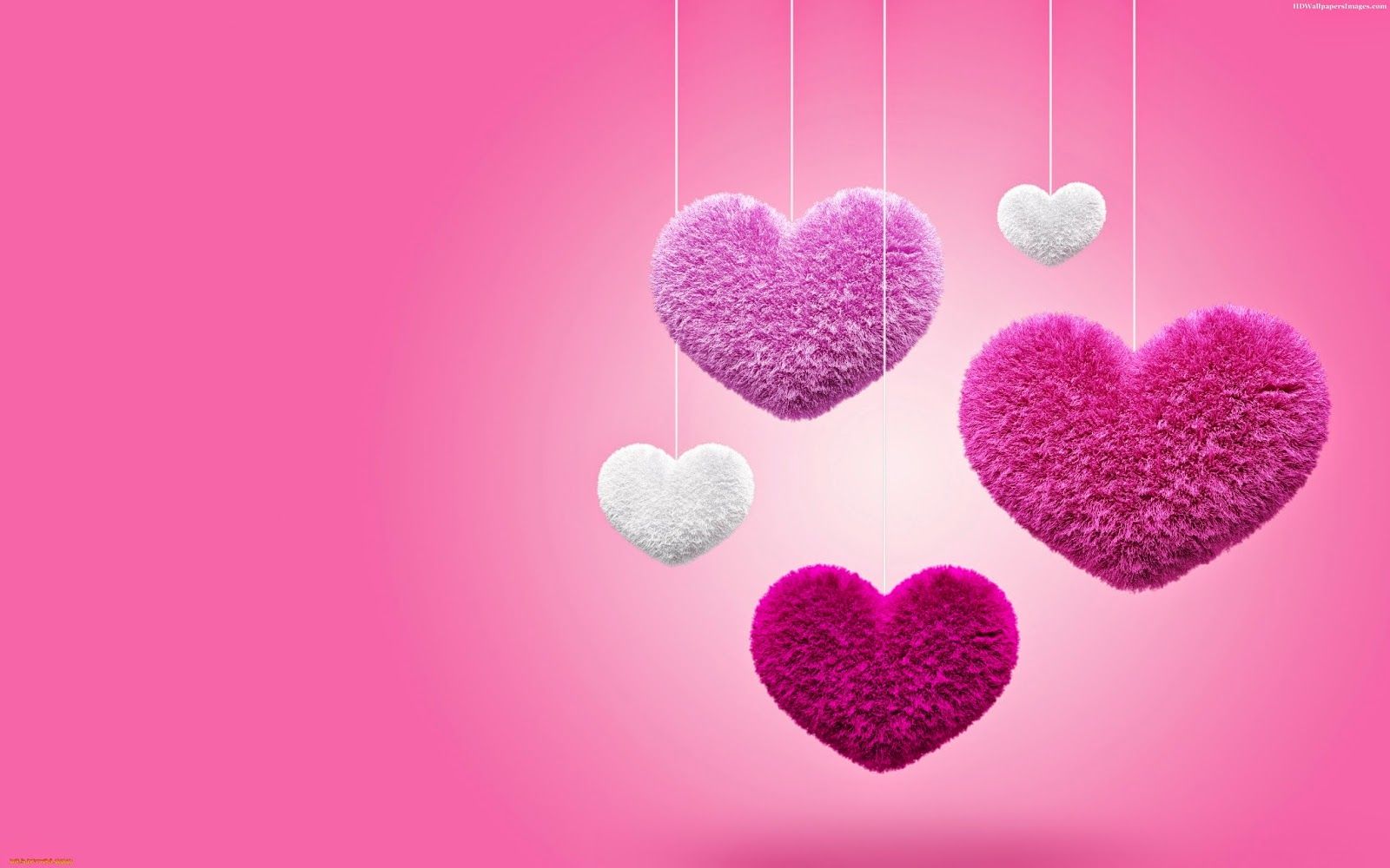 Cuori pelosi appesi rosa, 1600x1000 900p, Desktop