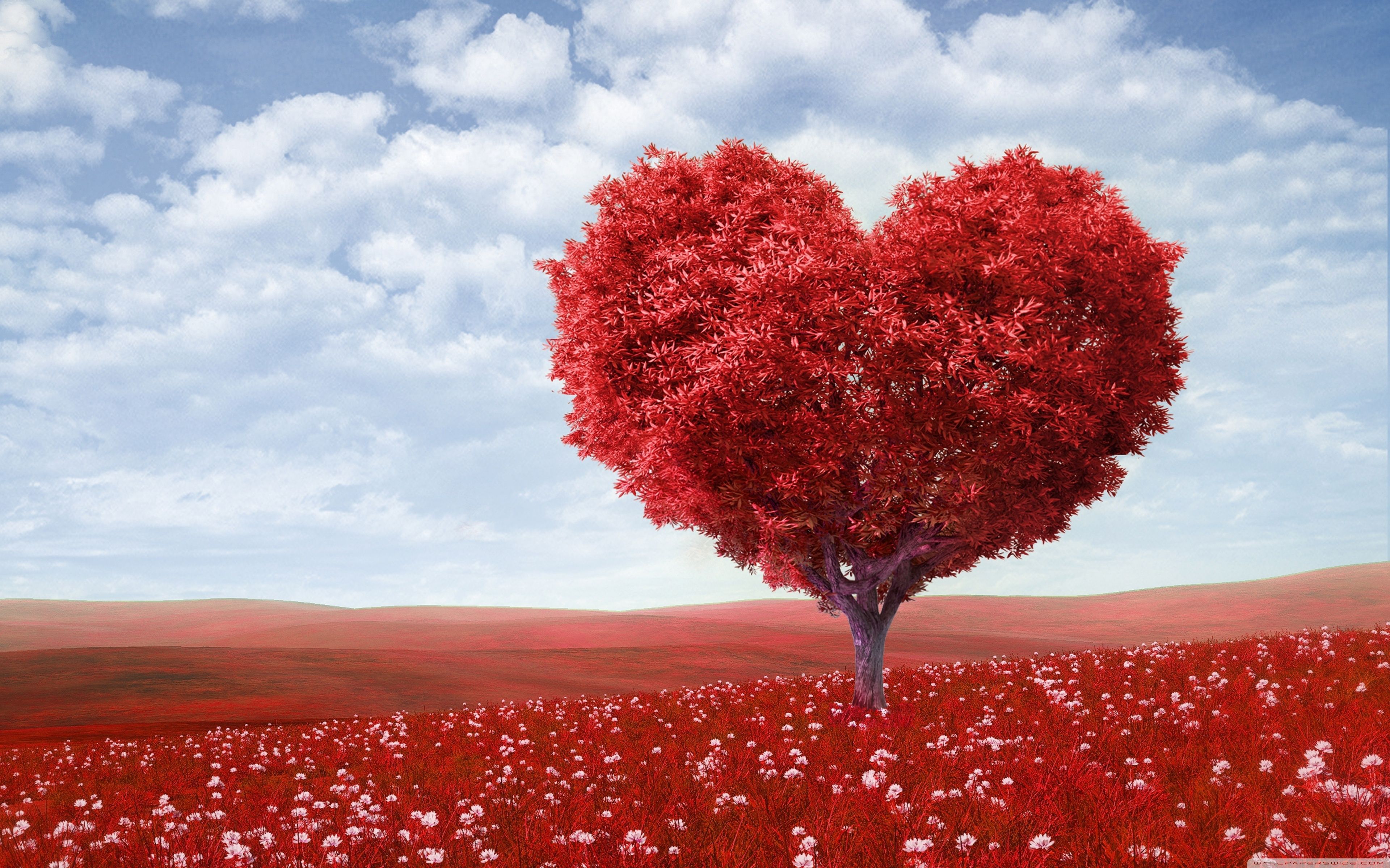 Albero a forma di cuore rosso, 3840x2400 UHD, Monitor Gaming