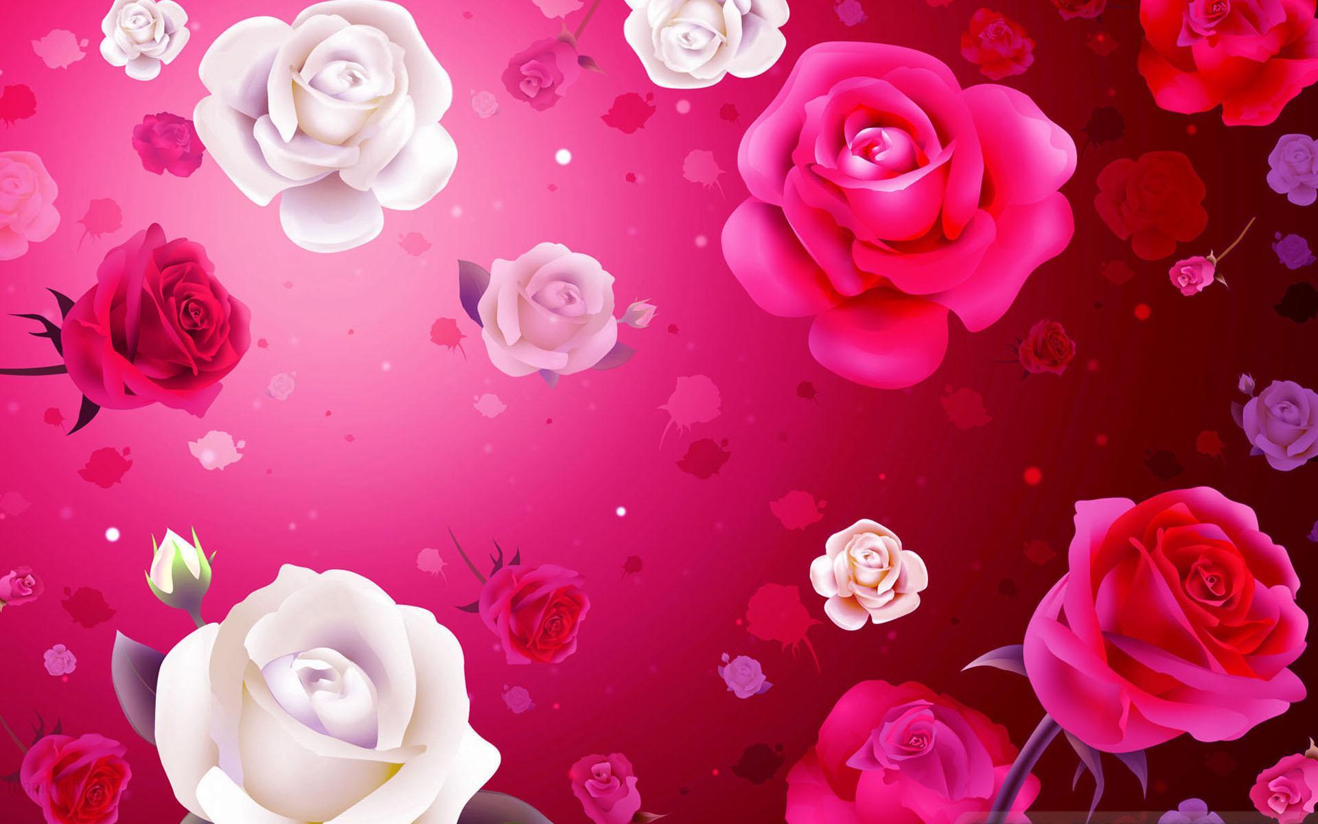 Rose rosse e bianche rosa, 1920x1200 Full HD+ WUXGA, PC Desktop