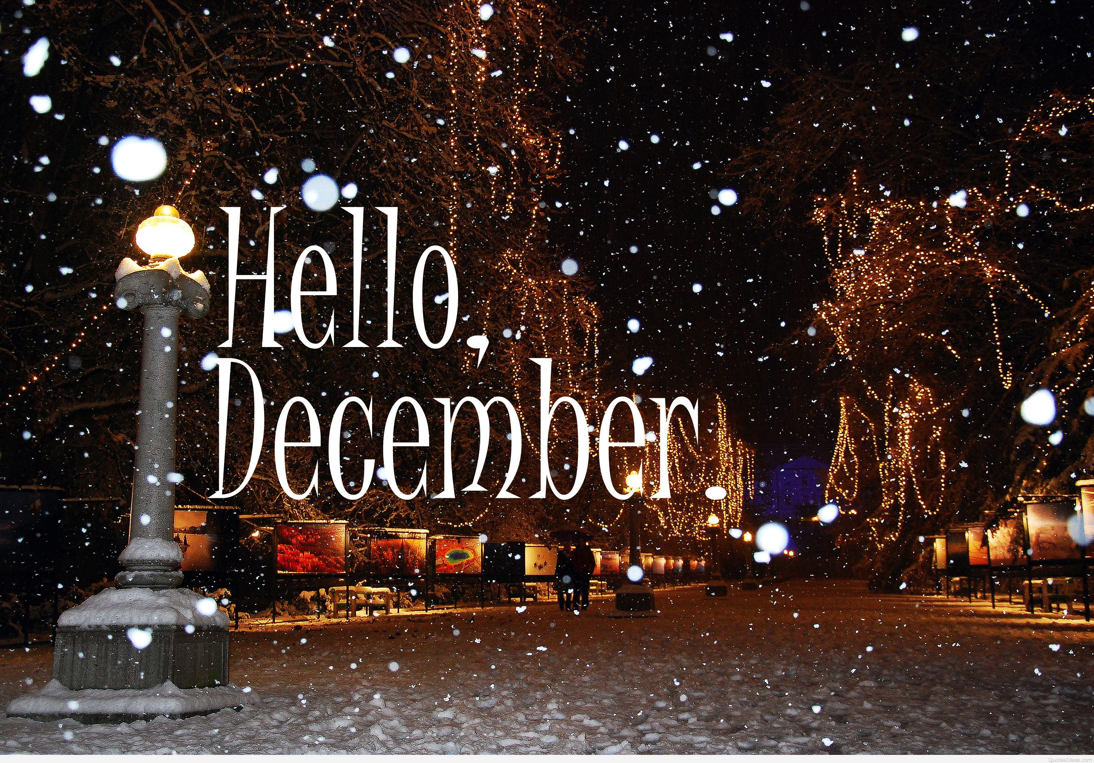 Lampione neve viale notturno, 3634x2533 2K, Monitor Gaming