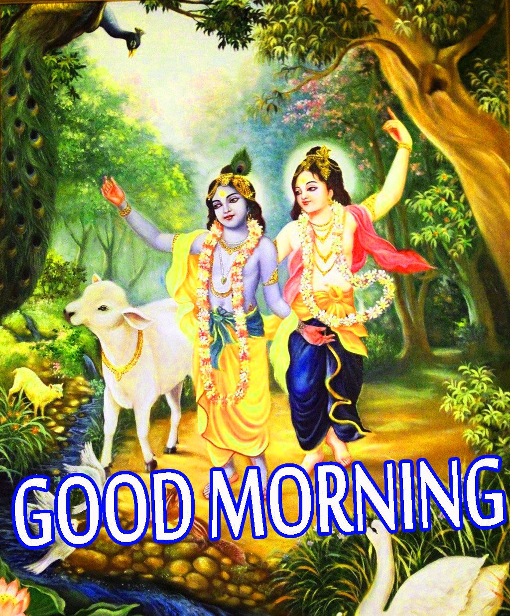 Radha Krishna notte con luna, 1080x1283 Full HD Verticale, Smartphone