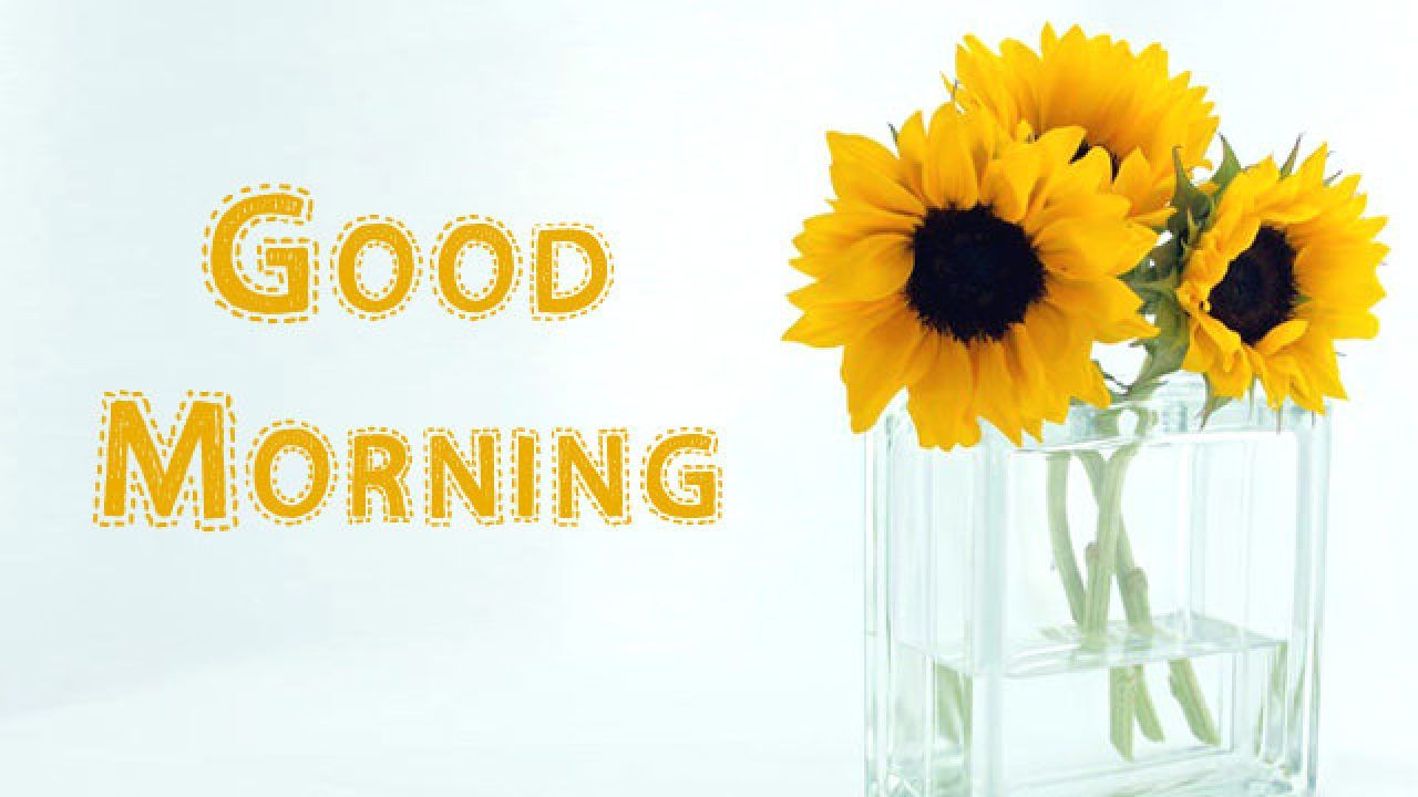 Girasoli in vaso di vetro, 1280x720 HD, Desktop