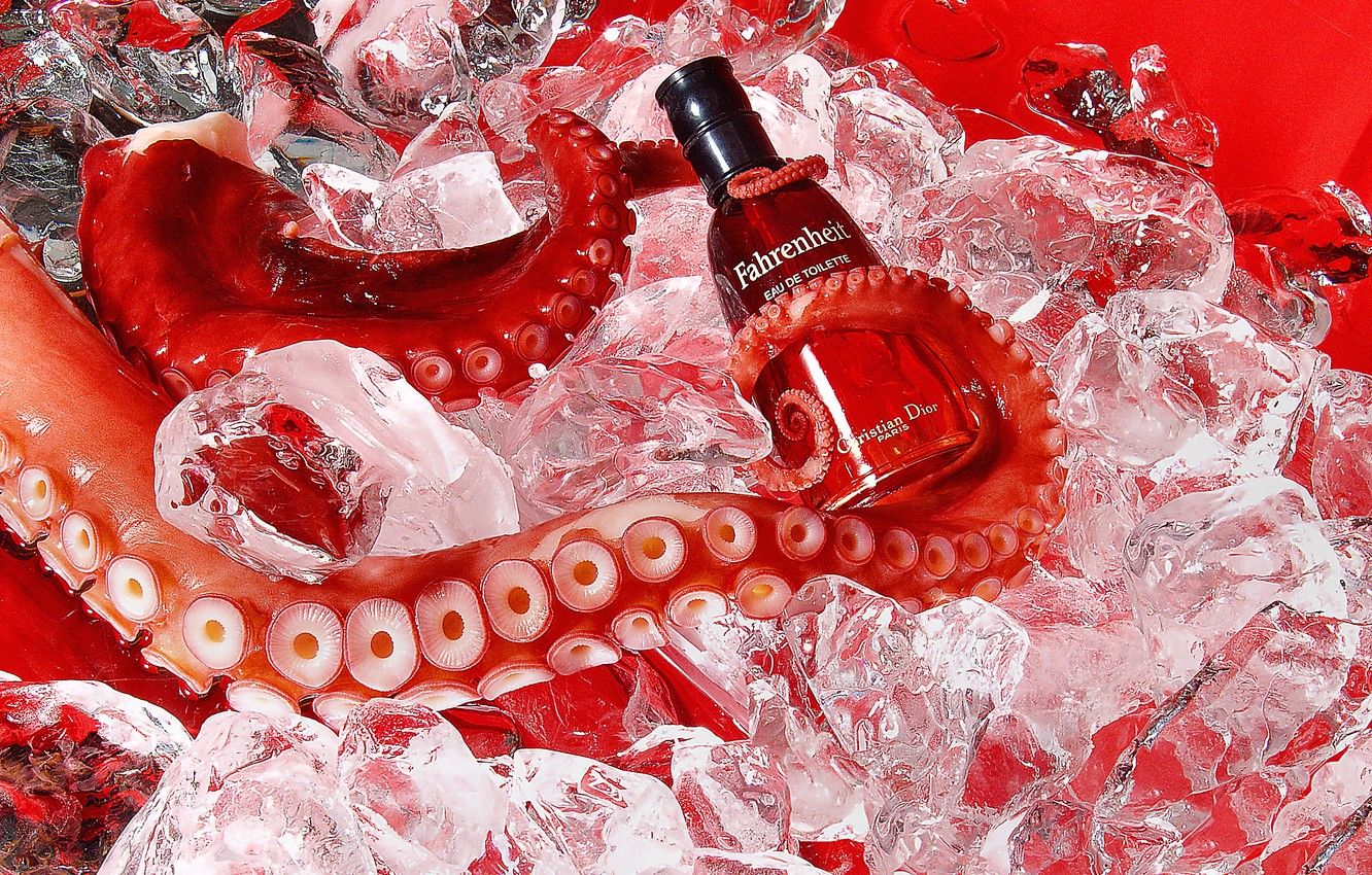Profumo Fahrenheit tentacolo ghiaccio, 1332x850 HD, Desktop