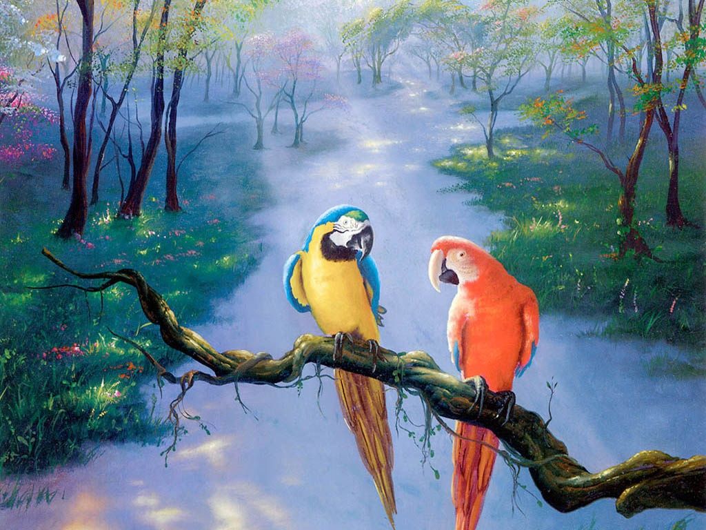 pappagalli ara ramo foresta, 1024x768 HD, PC