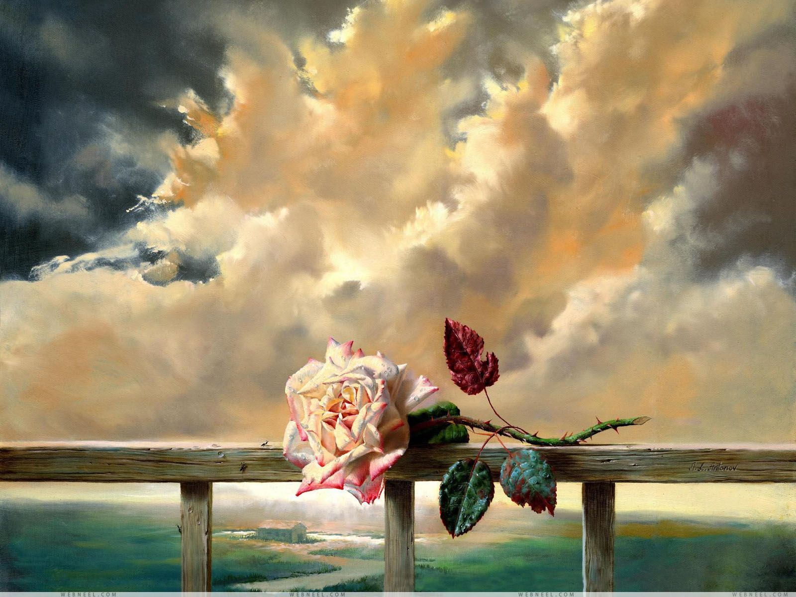 rosa balaustra nuvole mare, 1600x1200 HD, PC
