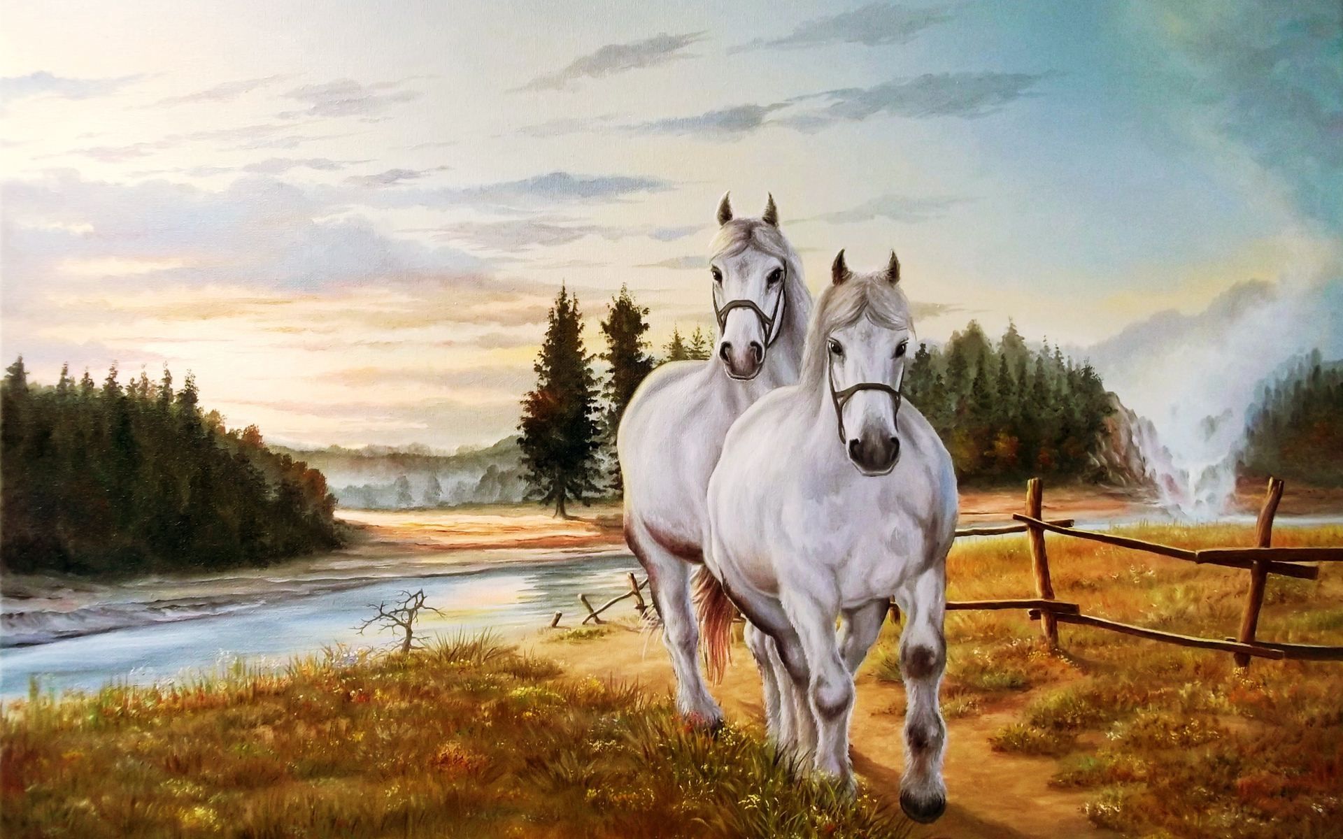 due cavalli bianchi fiume prato, 1920x1200 WUXGA, Desktop