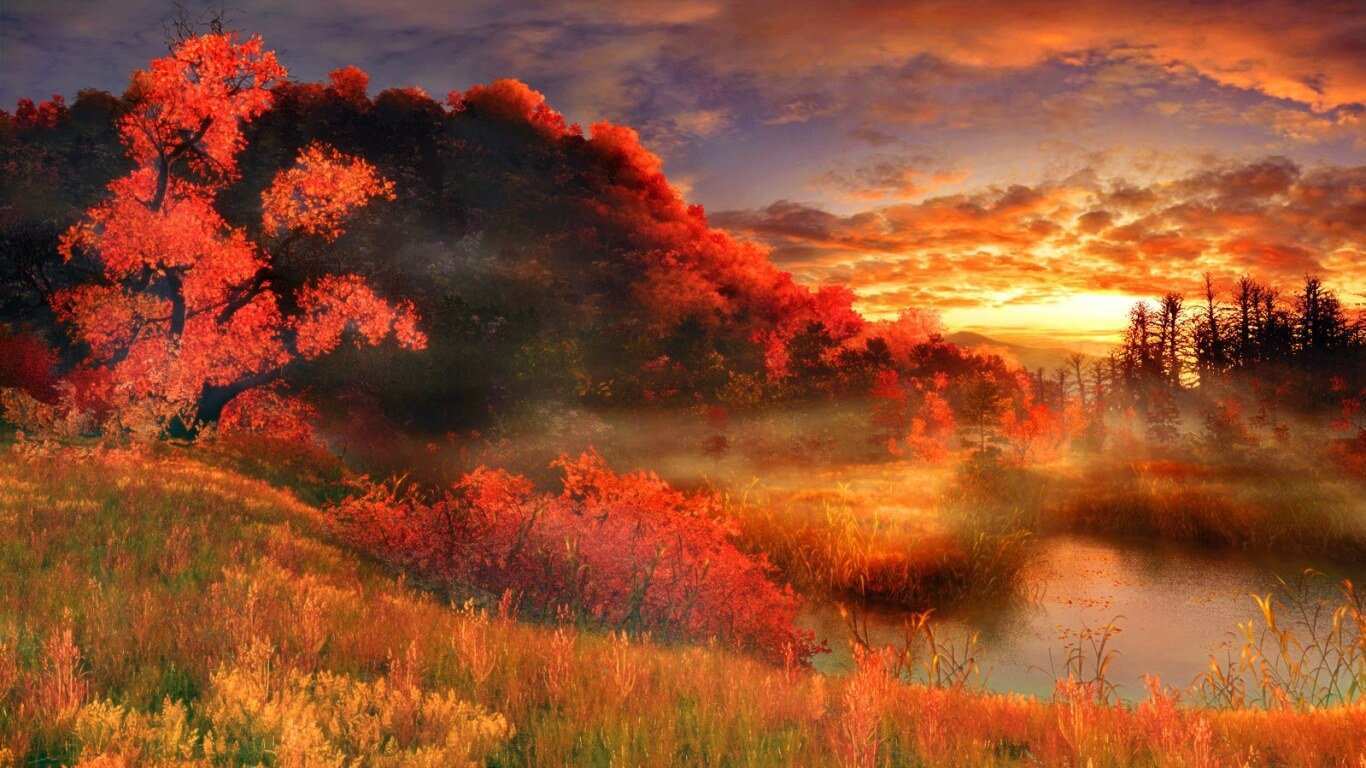 albero rosso tramonto prato, 1366x768 720p, Laptop