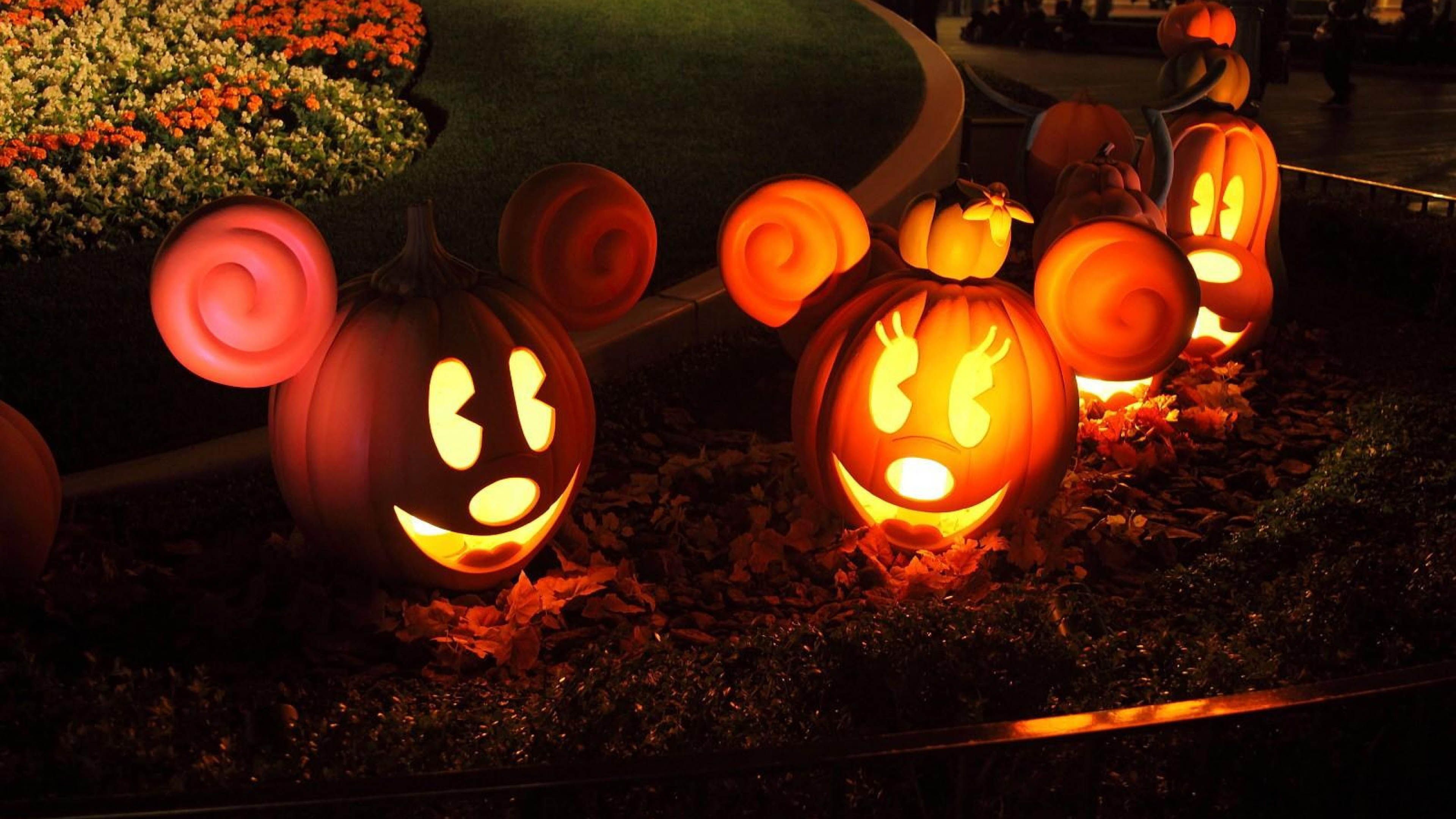 Castello Disney illuminato notte Halloween, 1537x1153 HD, Notebook Gaming