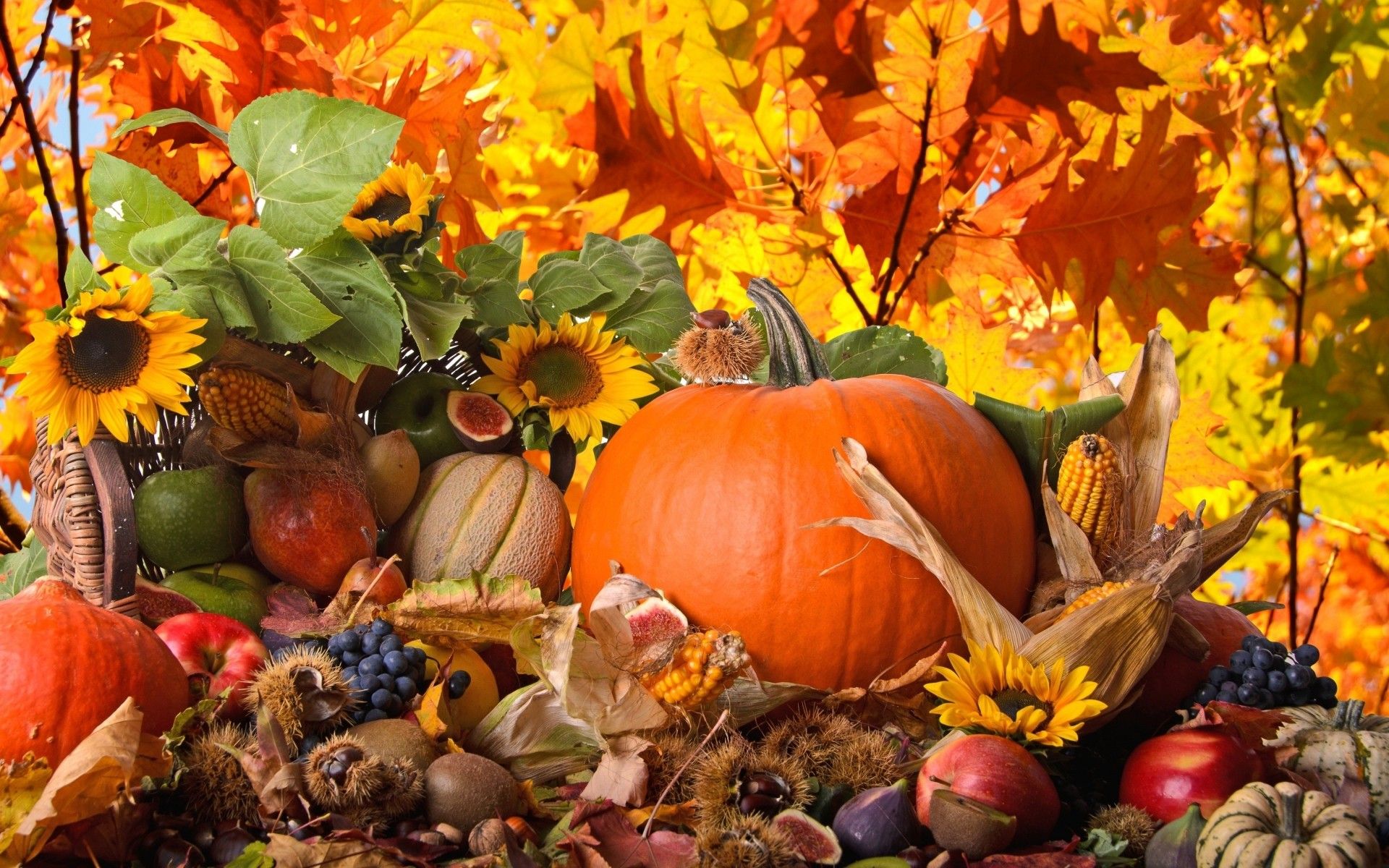 Disney d'Autunno, 1920x1080 Full HD 1080p, PC Desktop