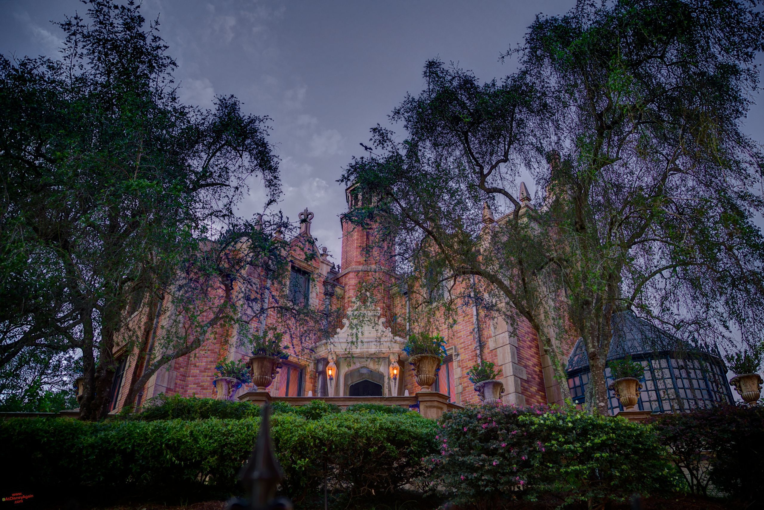 Haunted Mansion Disney tra alberi, classici d'animazione, 2560x1710 2K+, Monitor Gaming