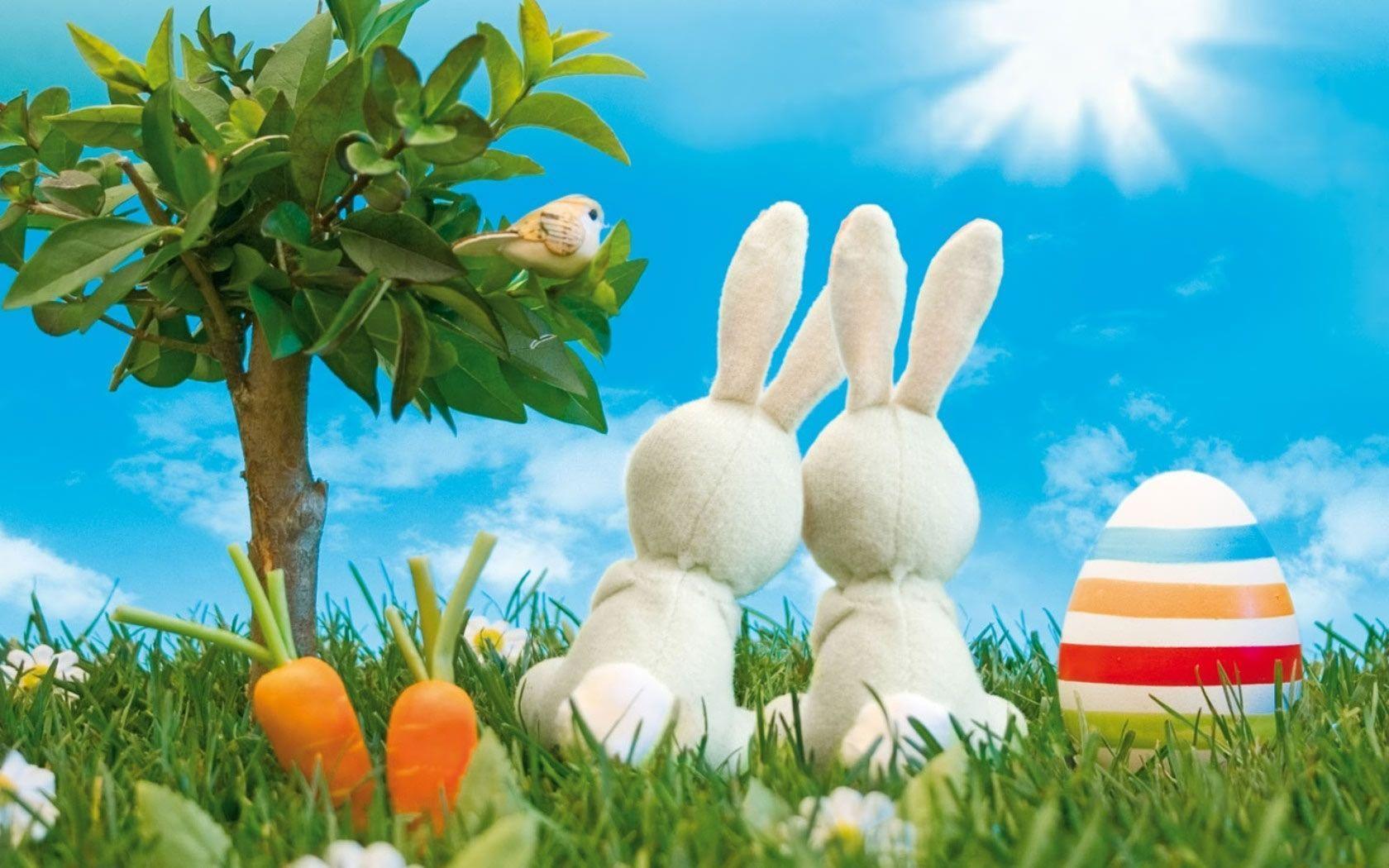Coniglietti peluche uovo Pasqua, 1680x1050 HD, Lenovo Legion