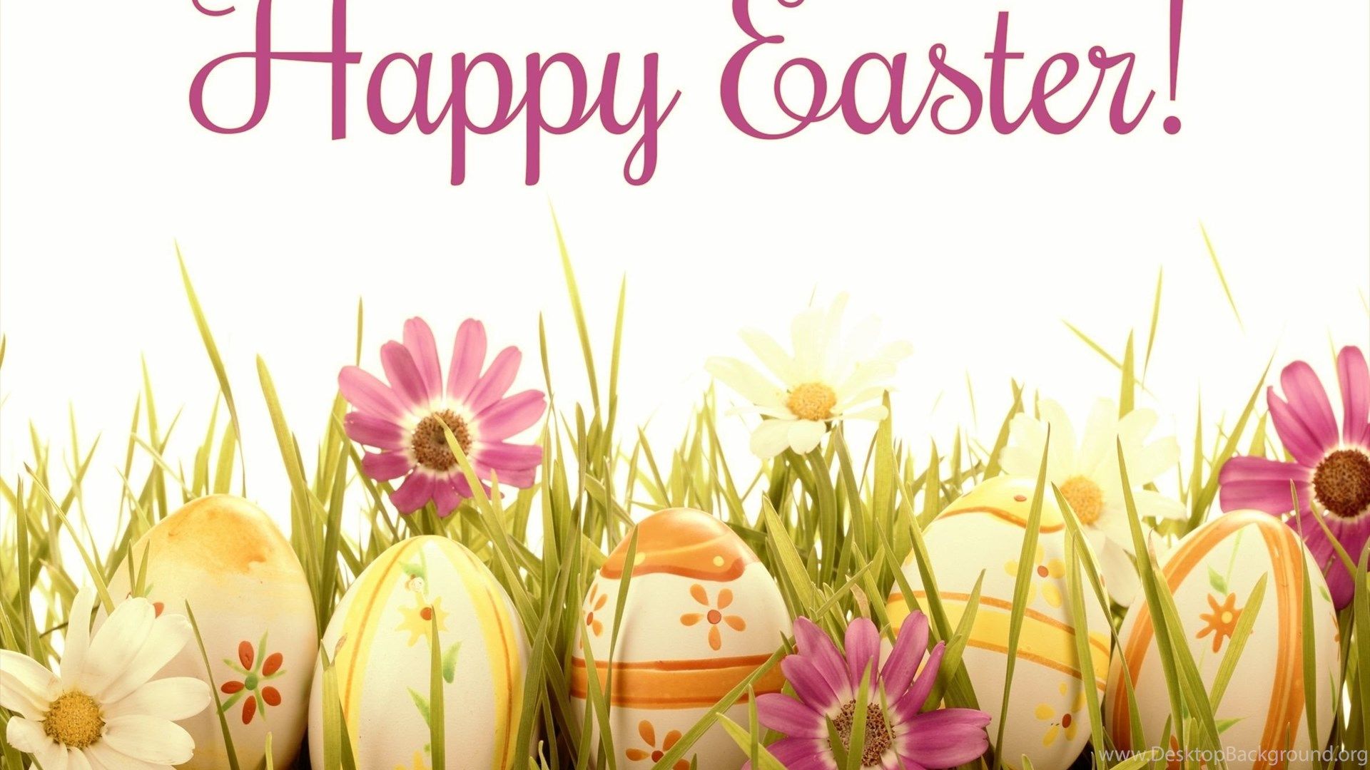 Conigli Disney festa Pasqua, 1920x1200 Full HD+ WUXGA, Desktop