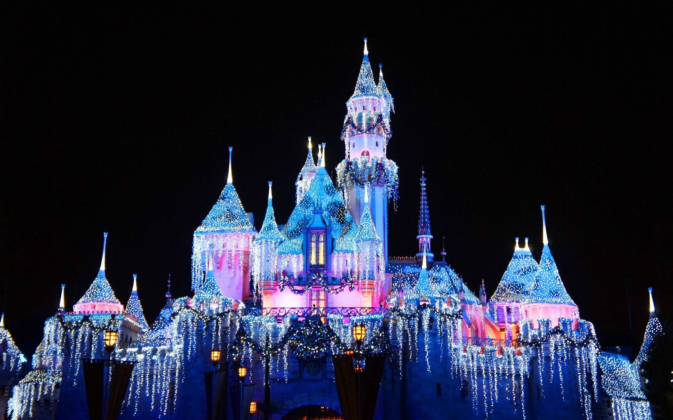 Castello Disney illuminato notte, 2560x1600 WQXGA, PC Desktop