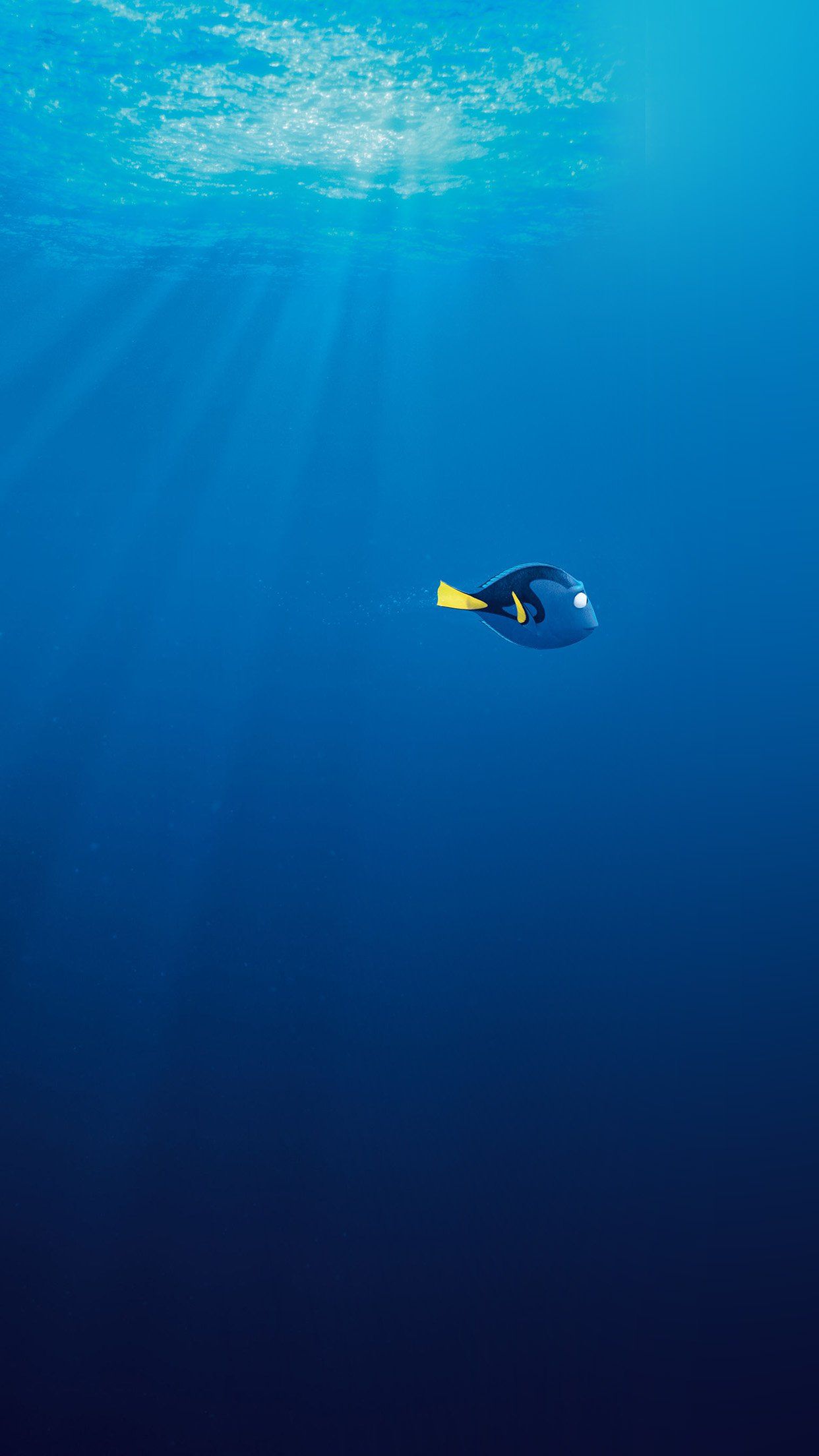 Pesce blu oceano Alla ricerca di Dory, 1242x2208 Verticale, POCO