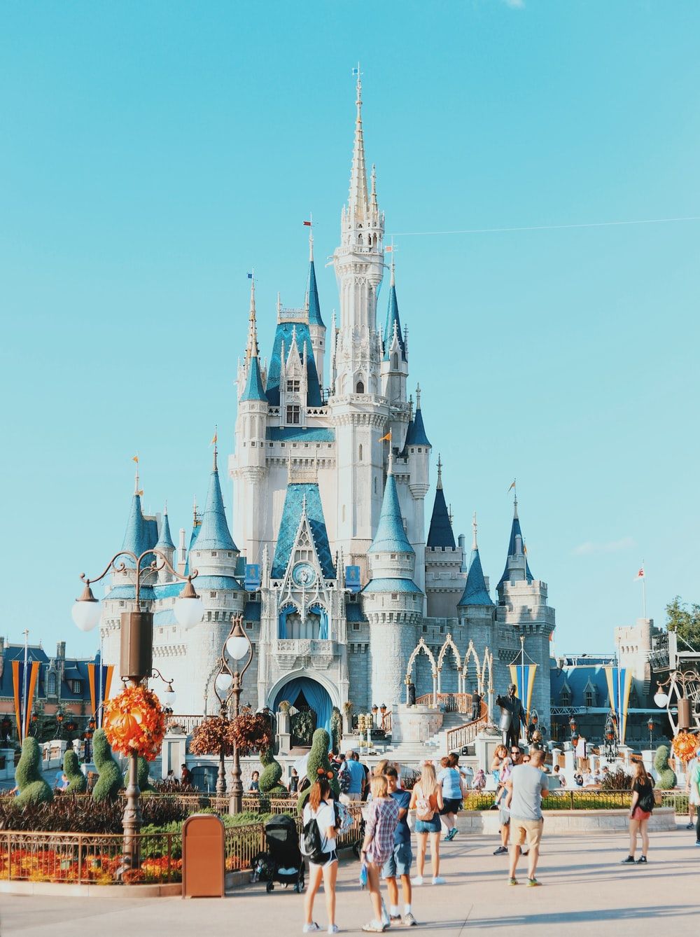 Castello Cenerentola Disney World, 1000x1338 Full HD Verticale, Smartphone
