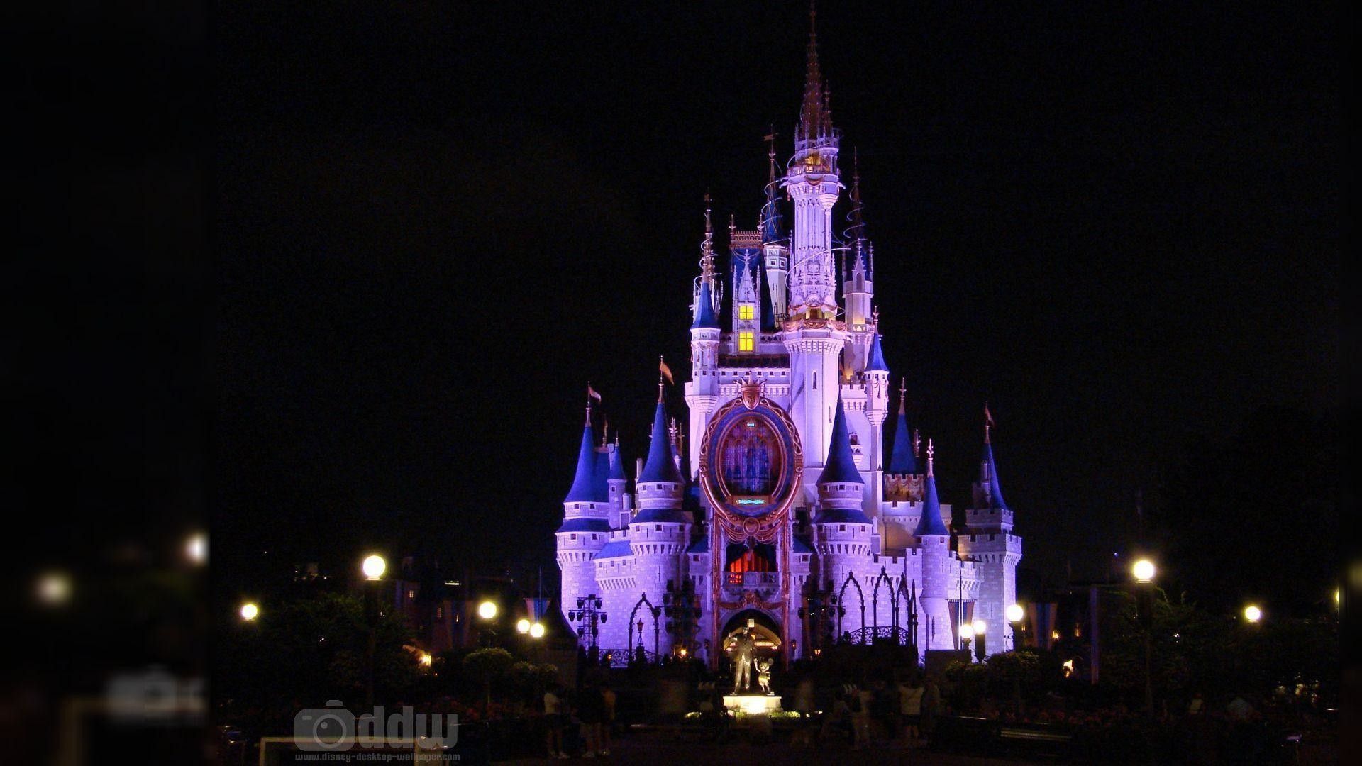 Castello Disney World notturno, 1920x1080 1080p, PC