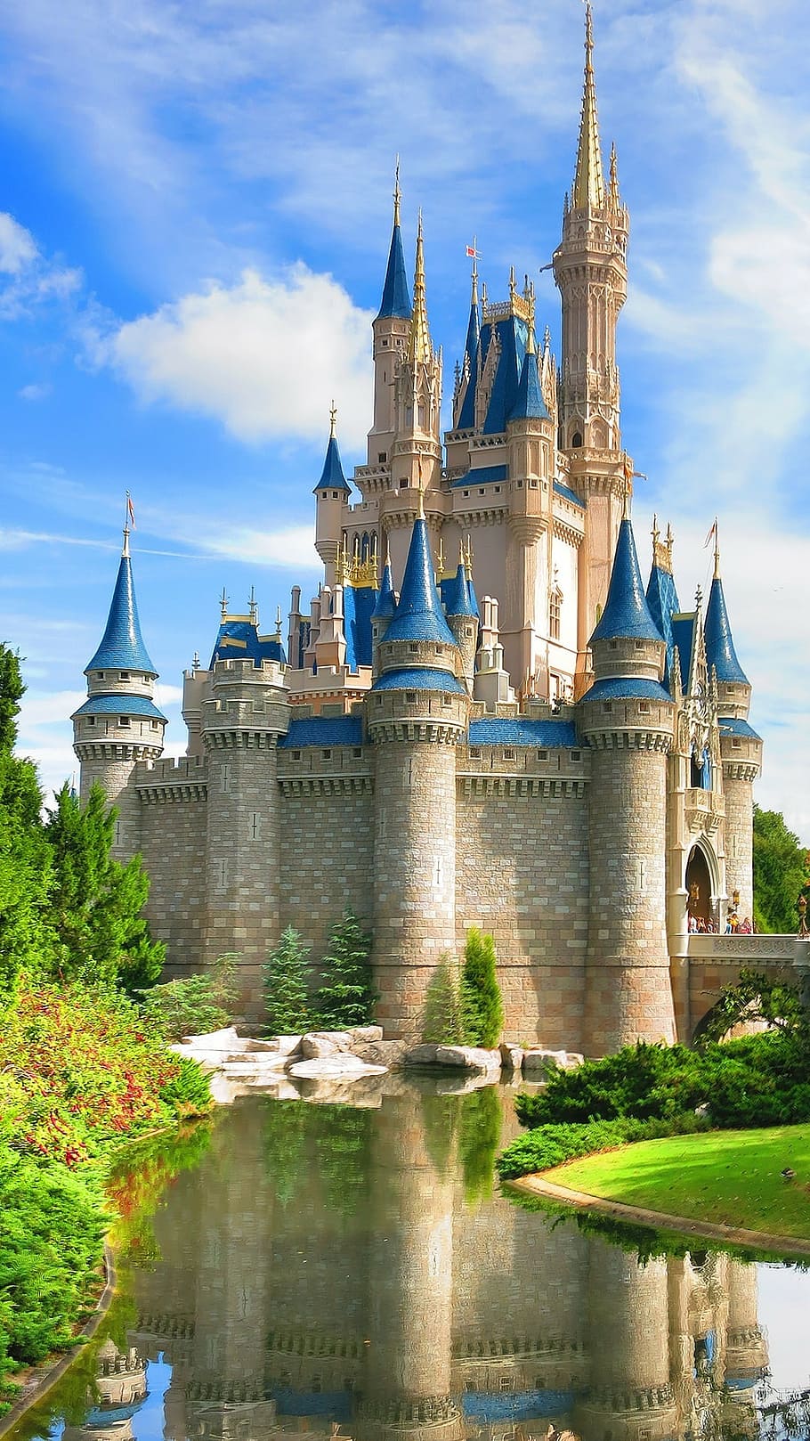 Castello Cenerentola Disney World, 910x1618 Verticale, Mobile