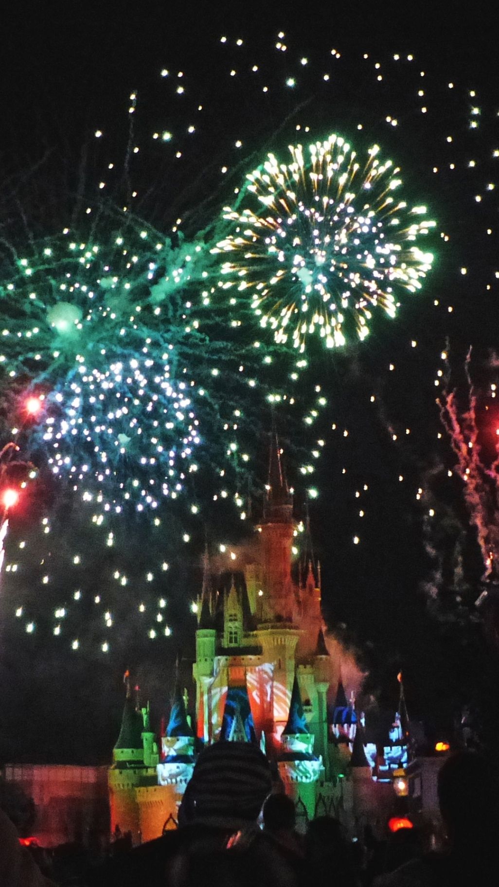 Spaventapasseri Disney World Halloween, 1080x1920 Verticale, Samsung Galaxy