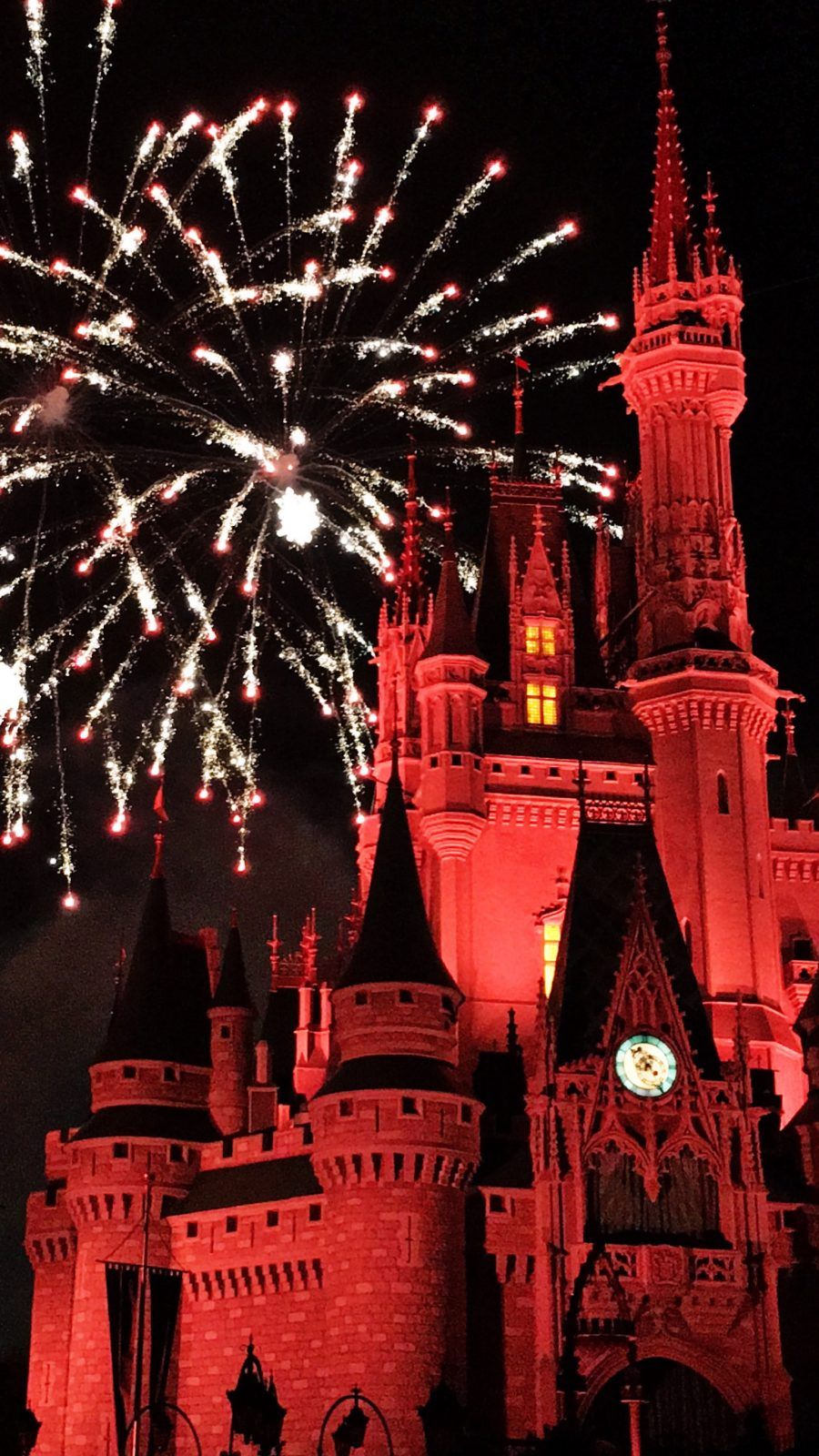 Castello Cenerentola Disney World, 750x1333 Verticale, Telefono