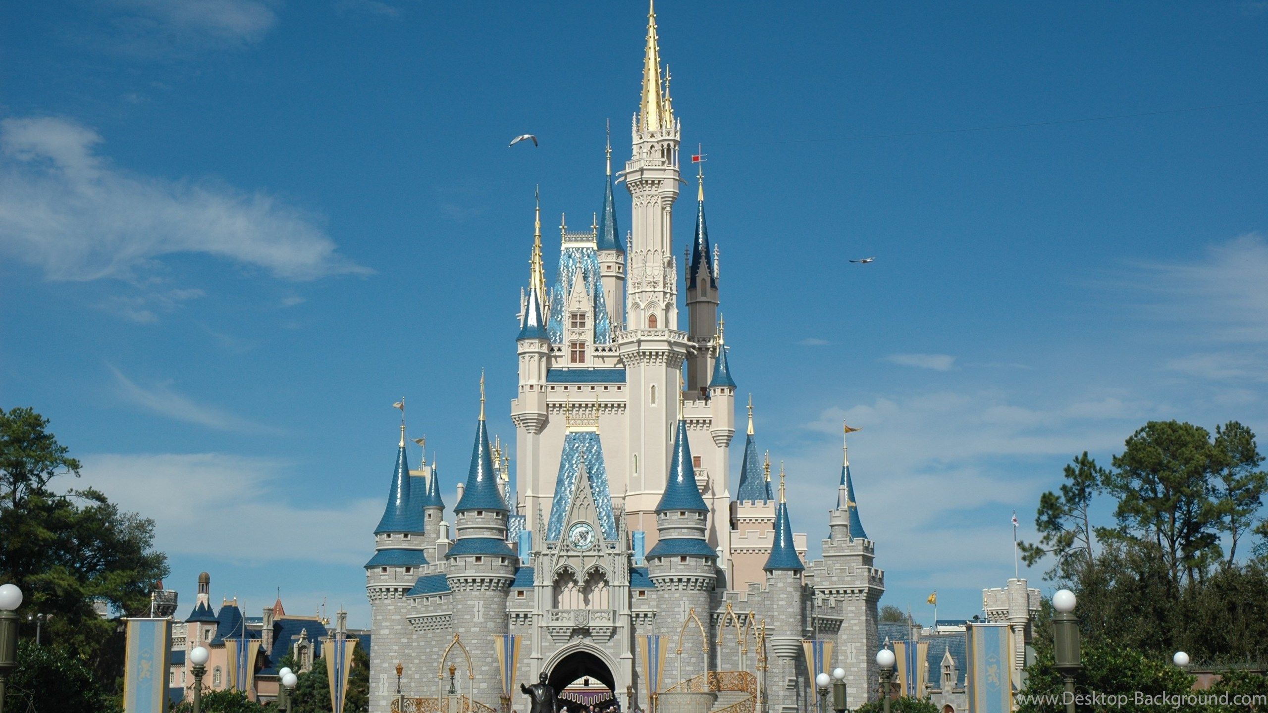 Fontane luminose Disney notturne, 2560x1440 2K, PC Desktop