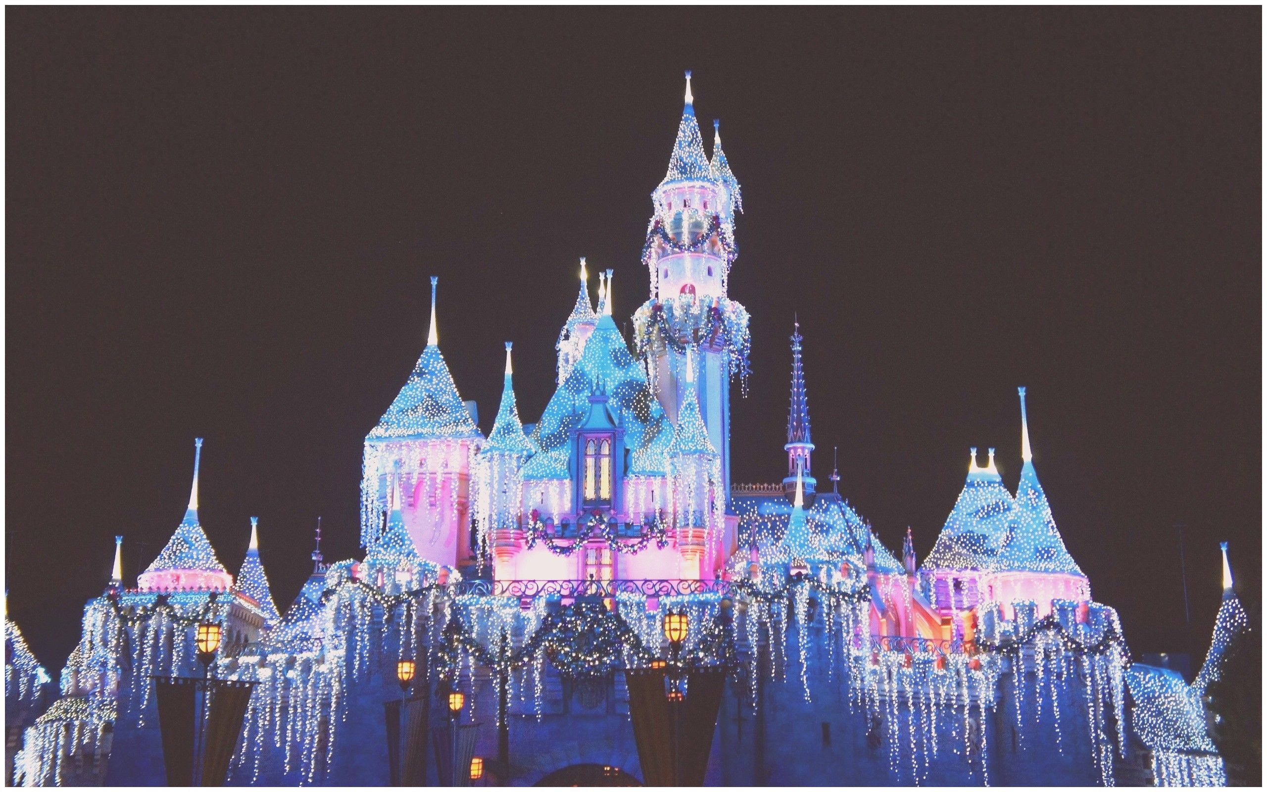 Castello Disney illuminato notte, 2560x1600 WQXGA, PC