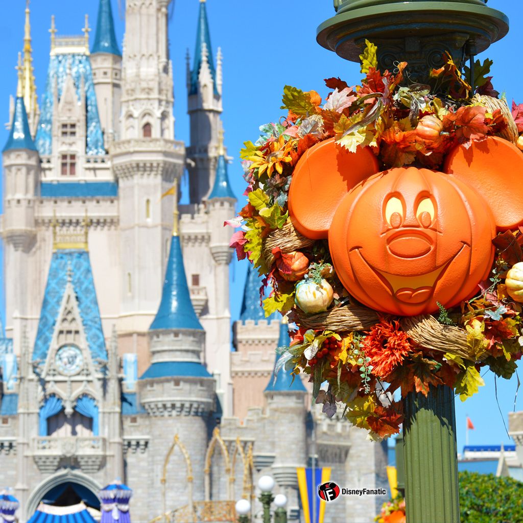 Castello Disney con zucca Mickey, 1024x1024 HD, Desktop