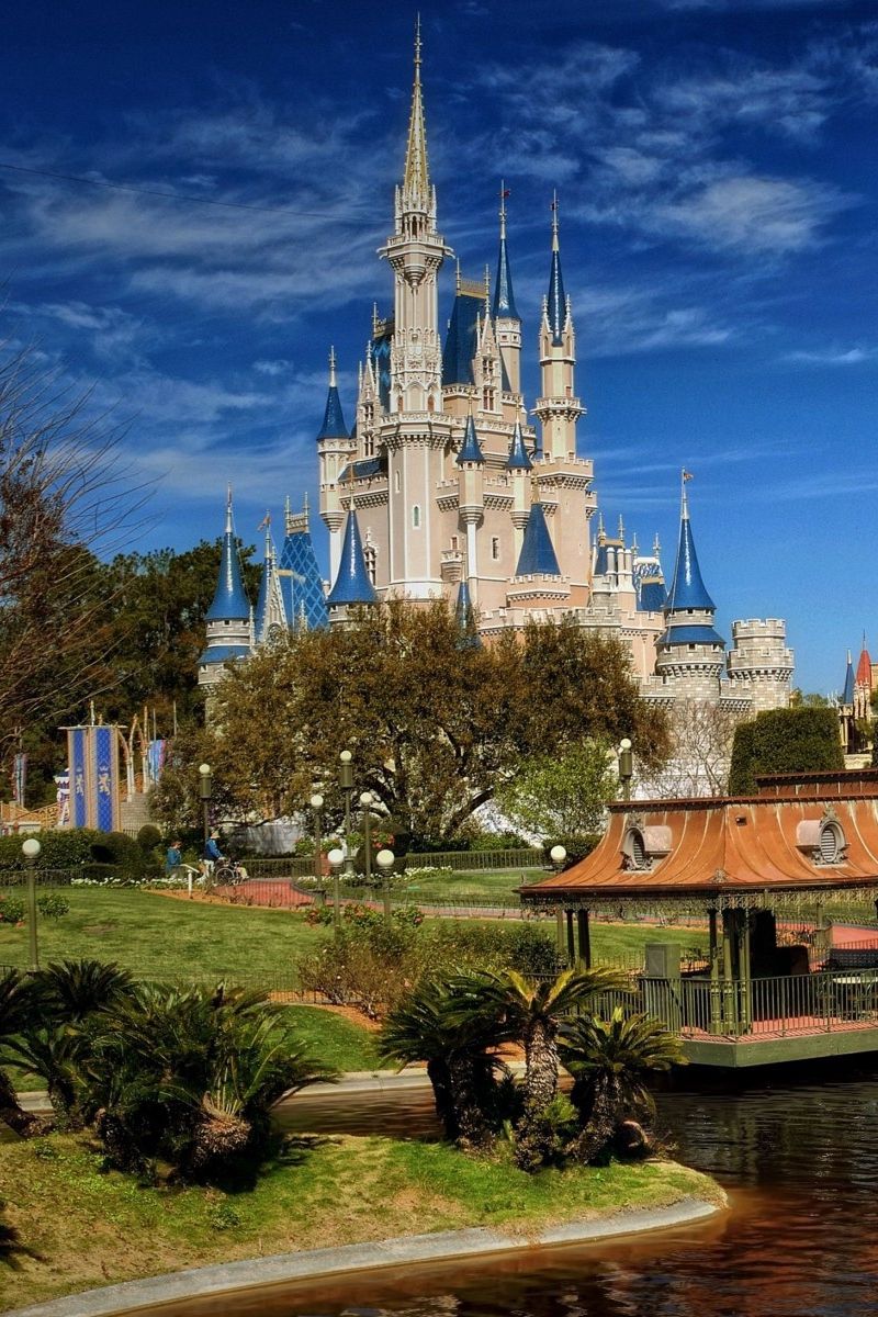 Castello Cenerentola Disney World, 800x1200 Full HD Verticale, iPhone Pro Max
