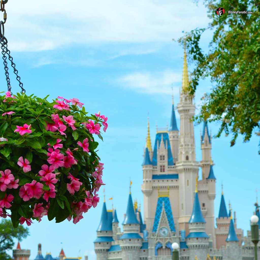Castello Cenerentola Disney World, 1024x1024 HD, PC Desktop