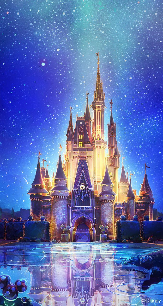 Castello Disney World notturno, classici d'animazione, 679x1272 Verticale, iPhone Pro Max