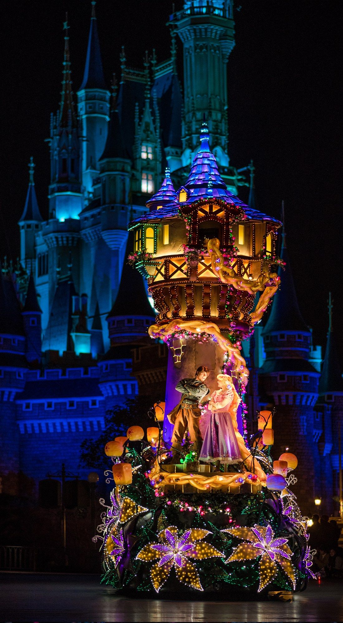 Castello Disney di notte, 1100x2000 Full HD Verticale, iPhone Pro Max