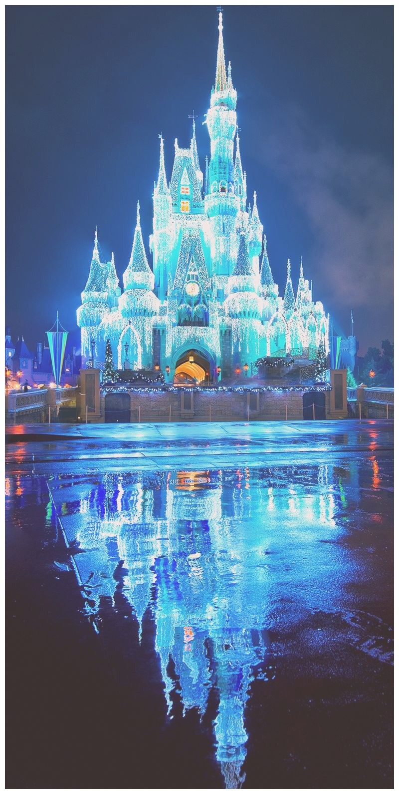 Castello Disney illuminato notte, 800x1590 Full HD Verticale, iPhone Pro