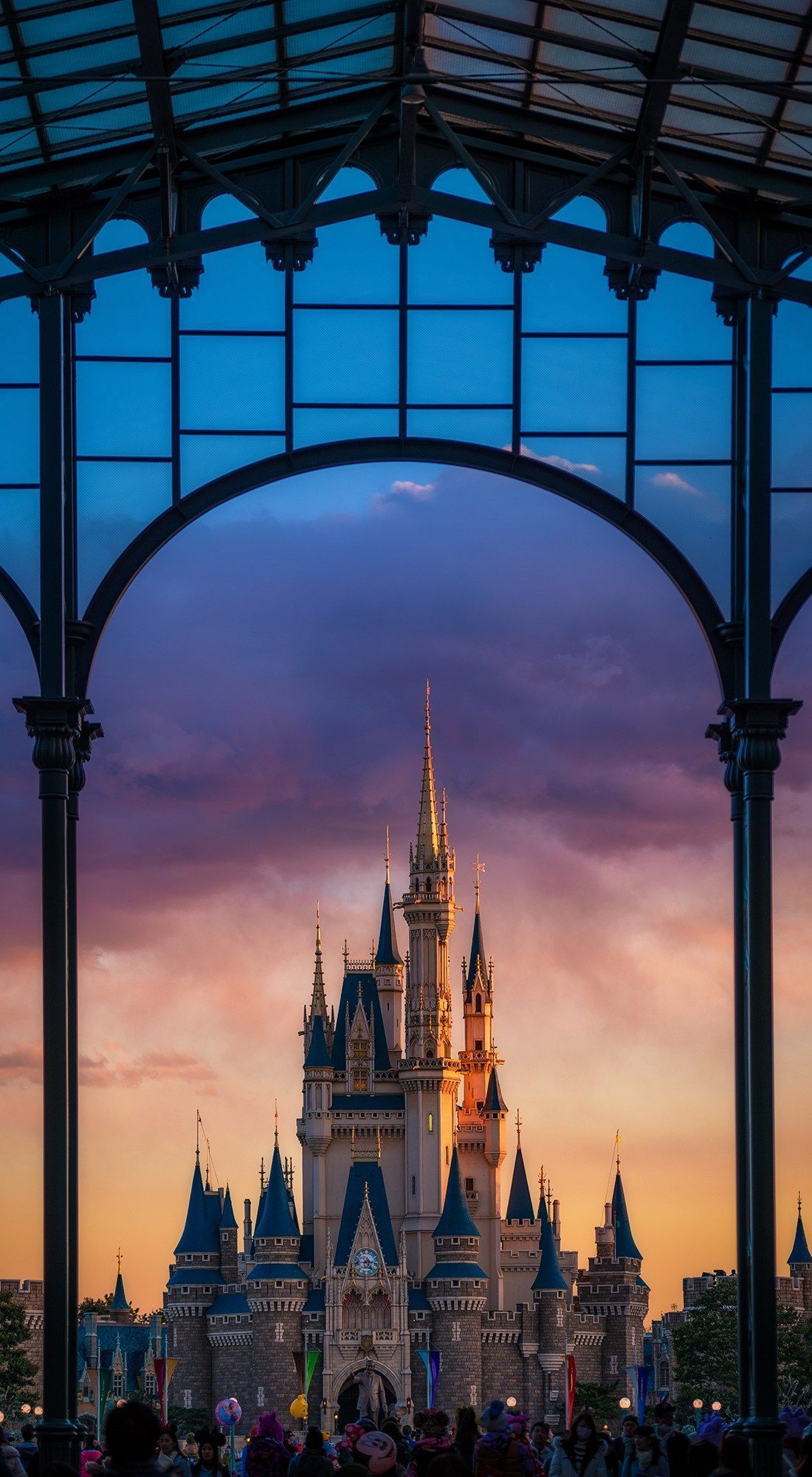 Castello Disney World tramonto, 1100x2000 Full HD Verticale, iPhone Pro