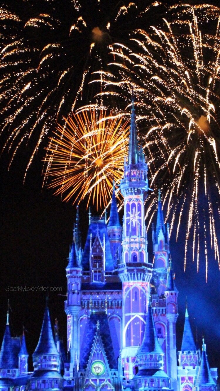 Castello Disney fuochi d'artificio, 750x1334 Verticale, iPhone