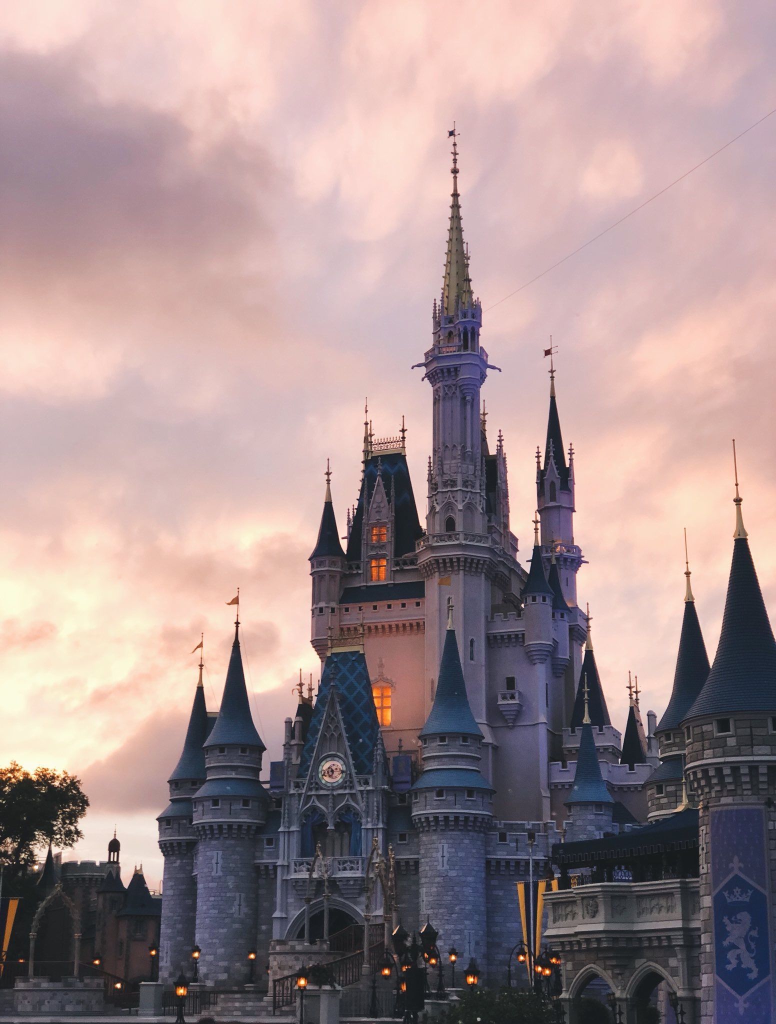Castello Cenerentola Disney World, 1552x2048 Verticale, iPhone Pro Max